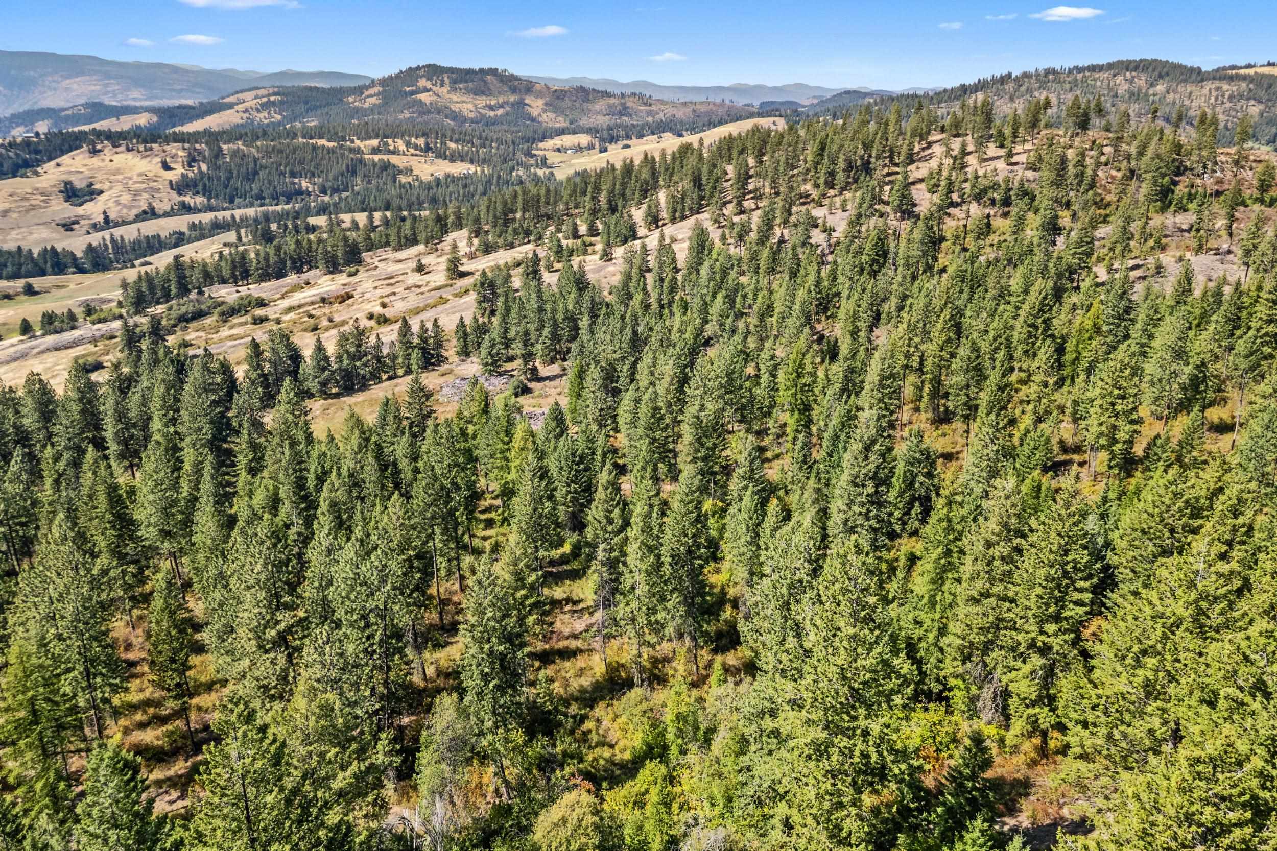 68X Highland Loop - Photo 17