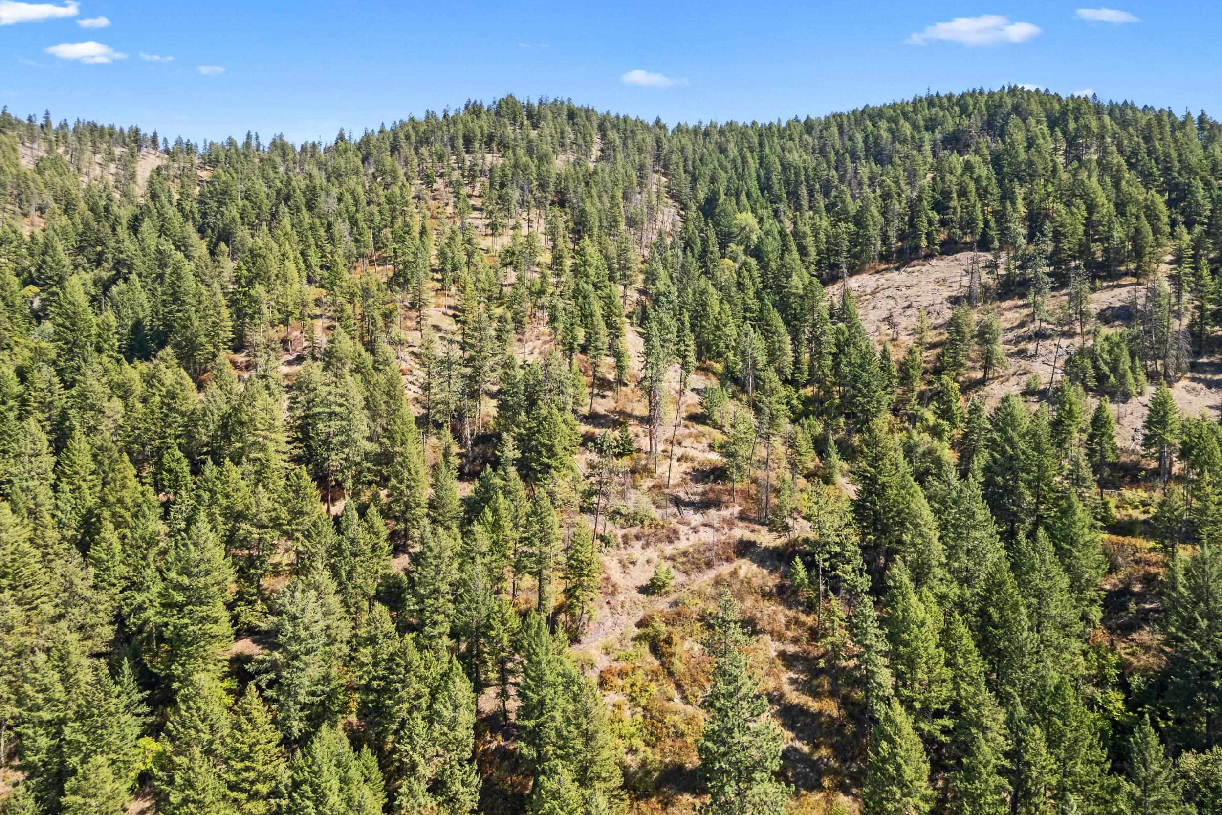 68X Highland Loop - Photo 18