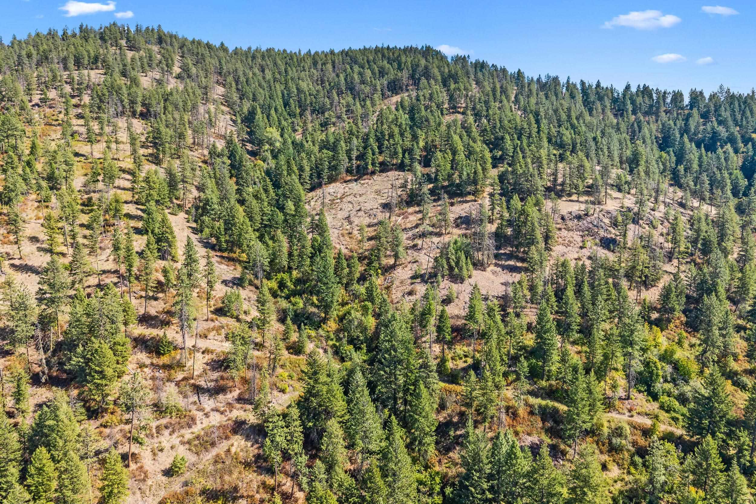 68X Highland Loop - Photo 19