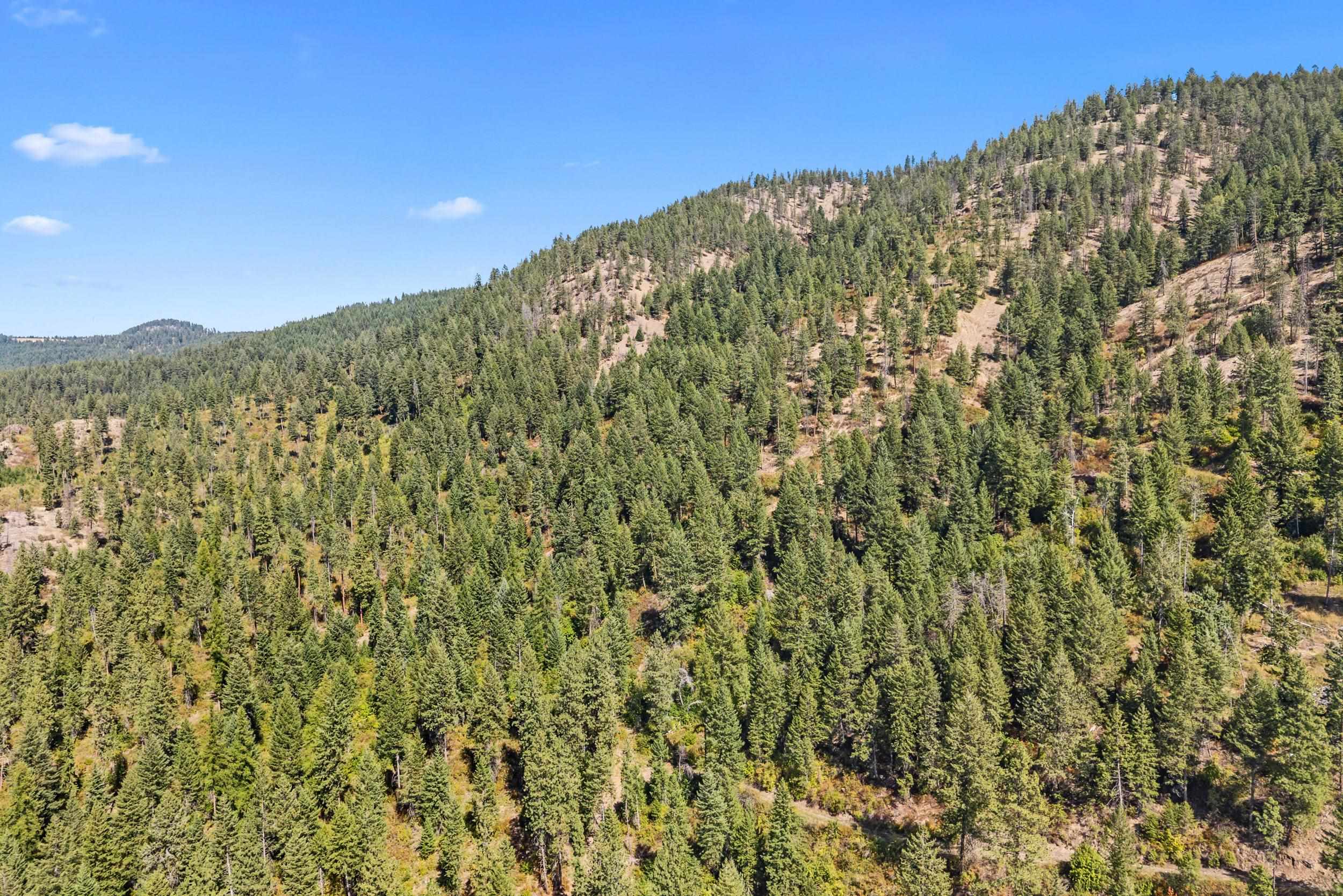 68X Highland Loop - Photo 22