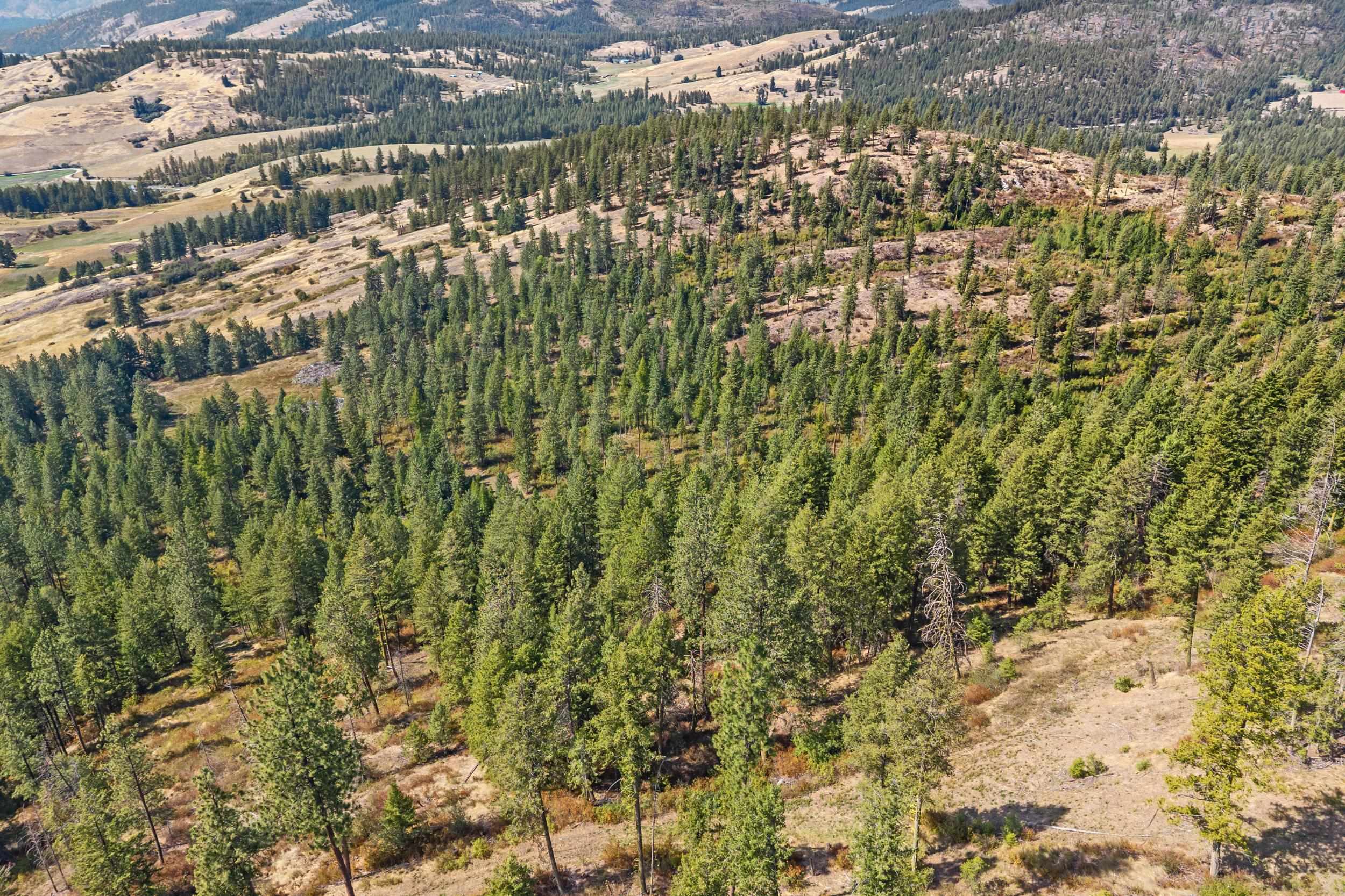 68X Highland Loop - Photo 23