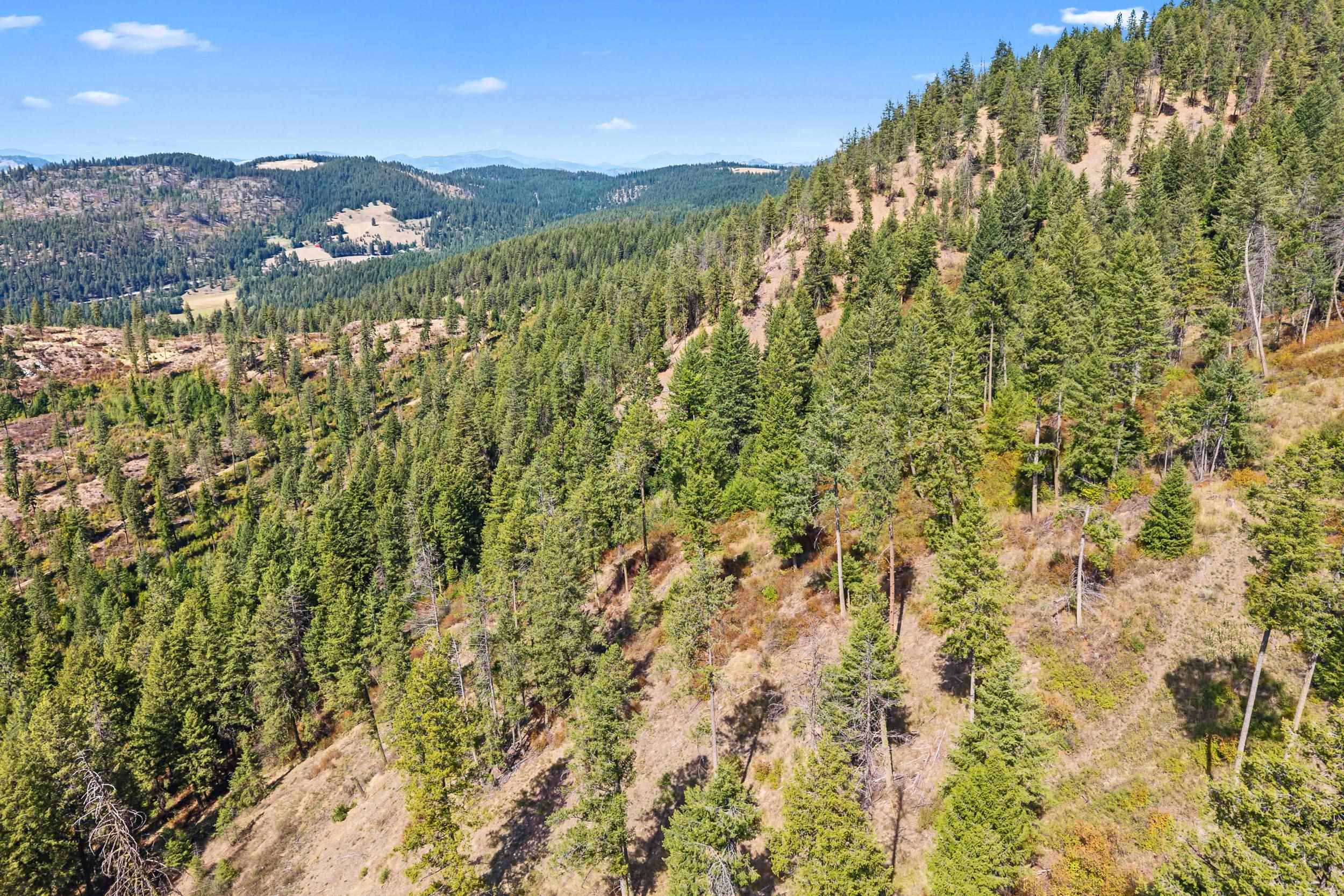 68X Highland Loop - Photo 24
