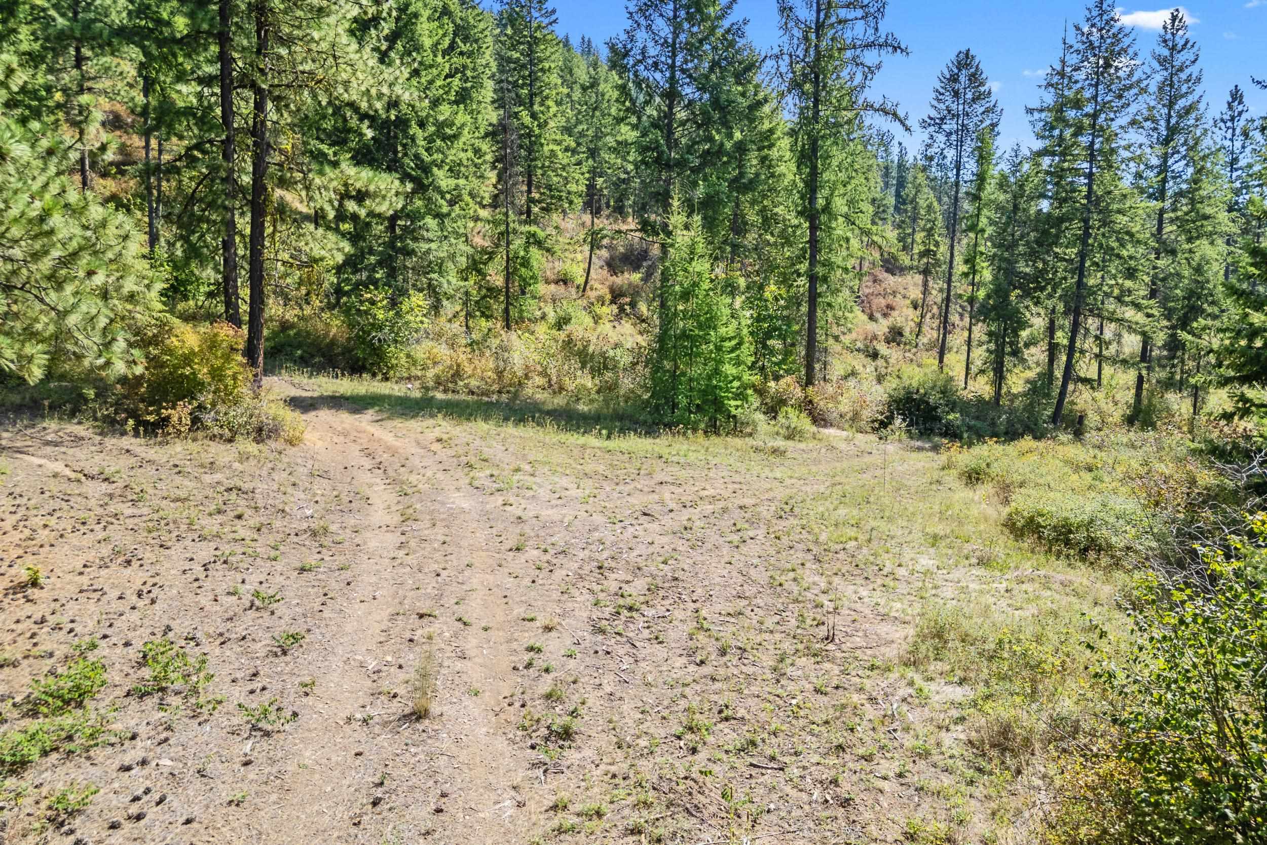 68X Highland Loop - Photo 9