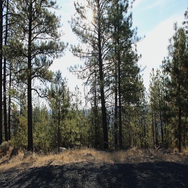 31600 E Sontag Ridge Ln - Photo 12