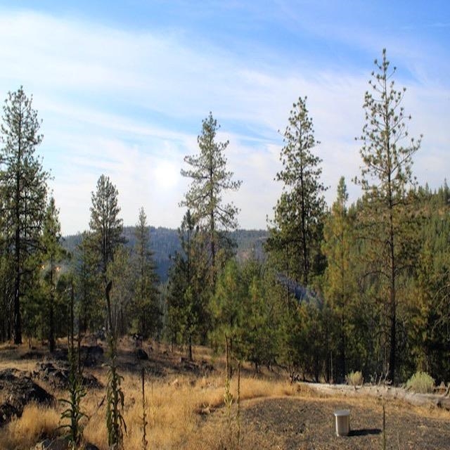 31600 E Sontag Ridge Ln - Photo 14