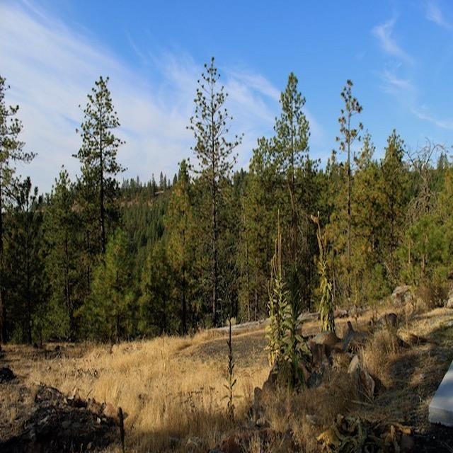 31600 E Sontag Ridge Ln - Photo 15