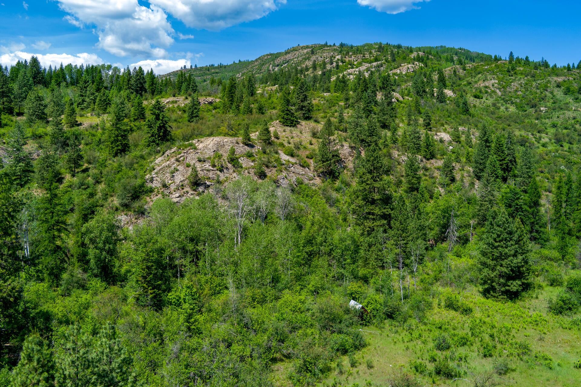 4765-? Mitchell Rd - Photo 16