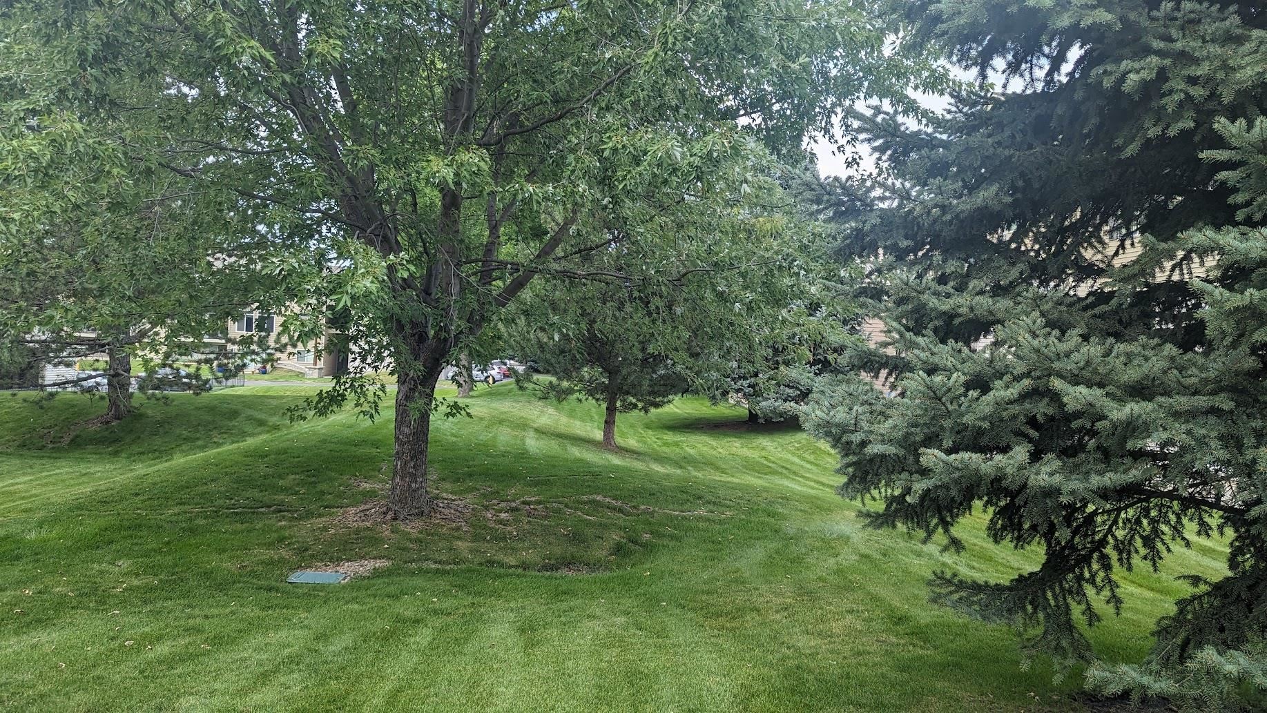 22855 E Country Vista  #453 Dr - Photo 22