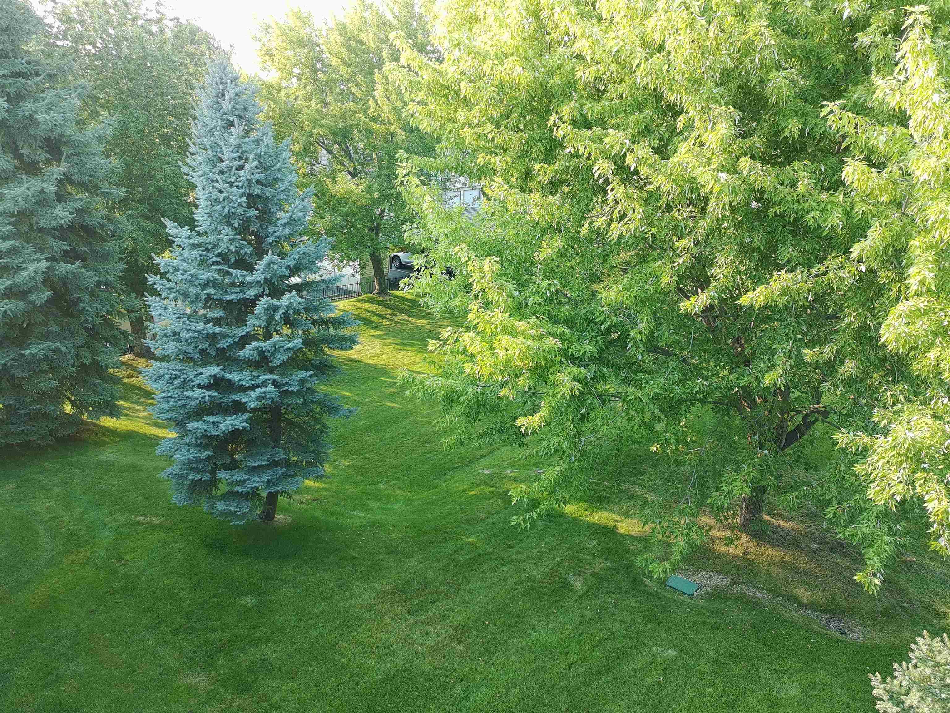 22855 E Country Vista  #453 Dr - Photo 4