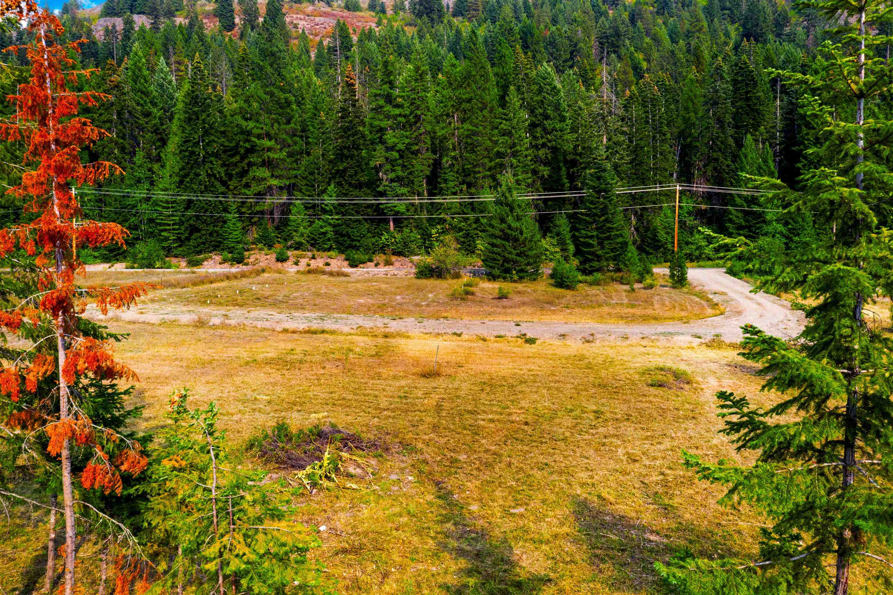26561 N LeClerc Rd - Photo 3