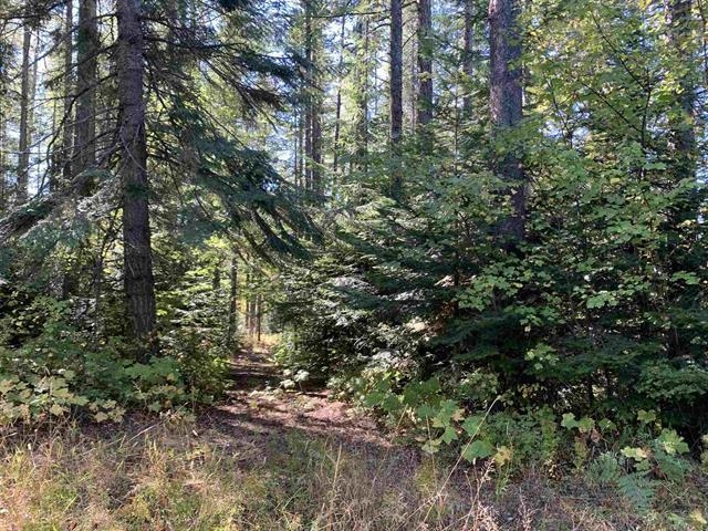 176xx E Tallman Rd - Photo 3