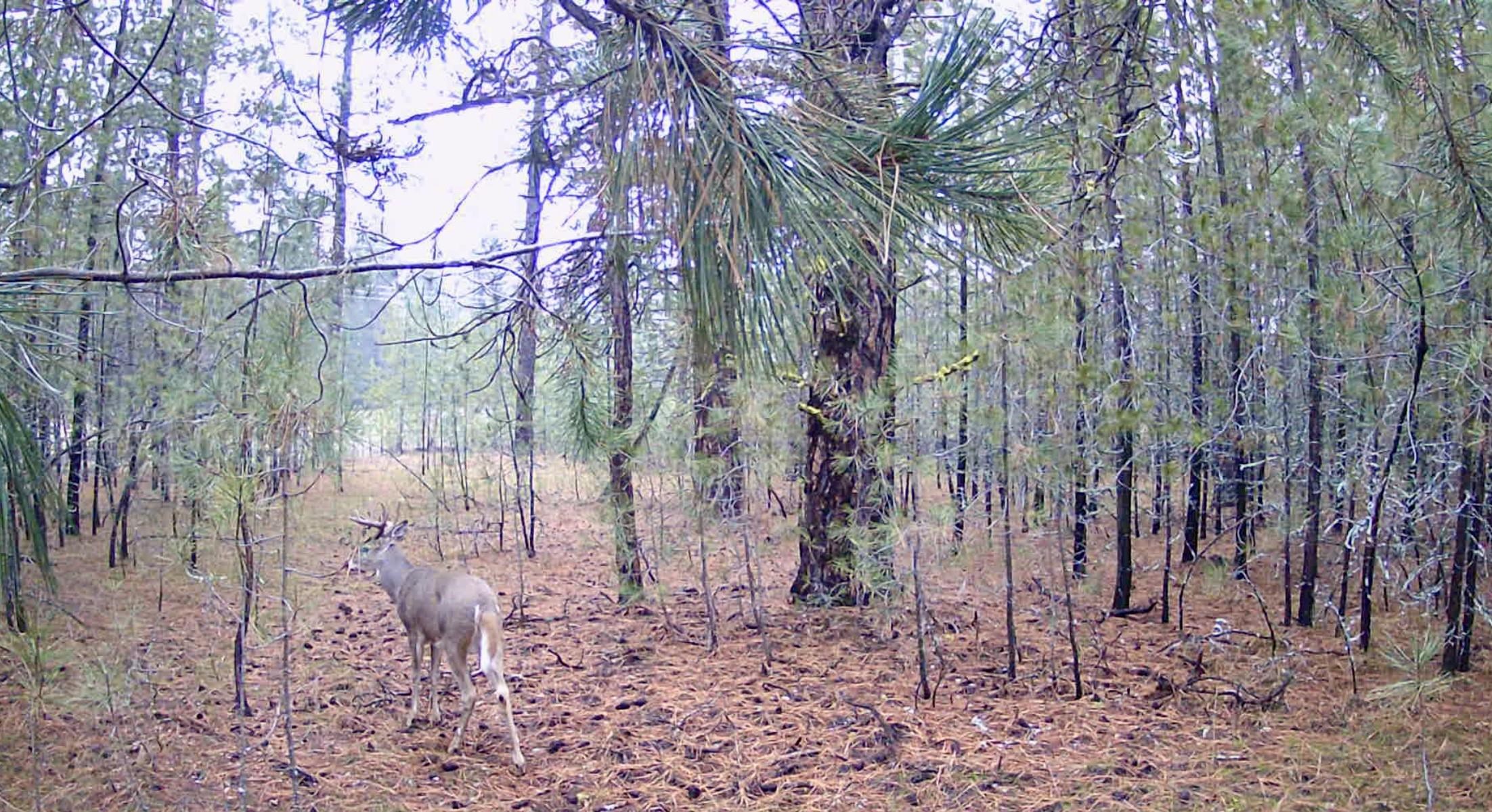 NKA N Hardesty Rd - Photo 12