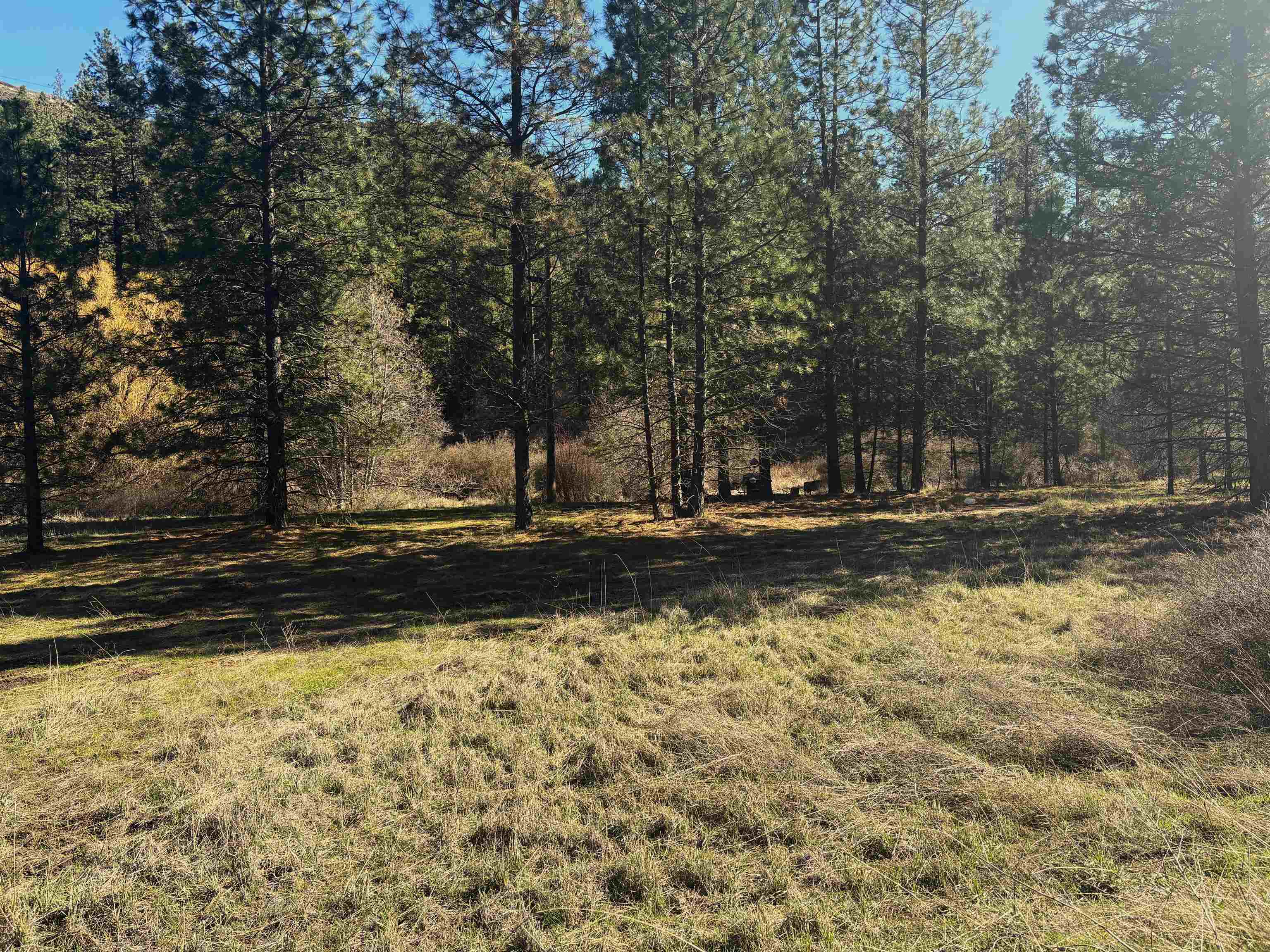 32900 N Hawk Creek Ranch Rd - Photo 2
