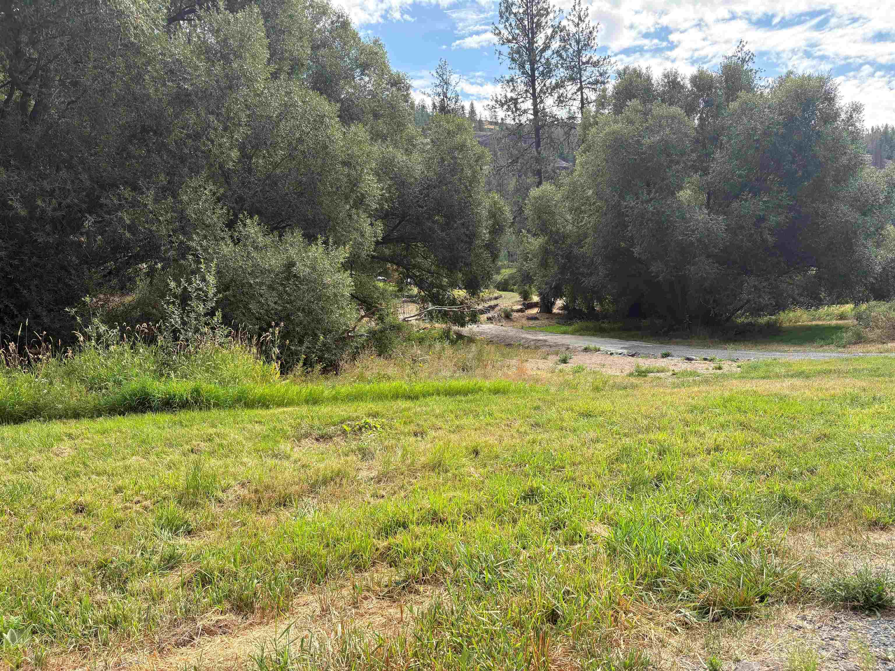 32900 N Hawk Creek Ranch Rd - Photo 11