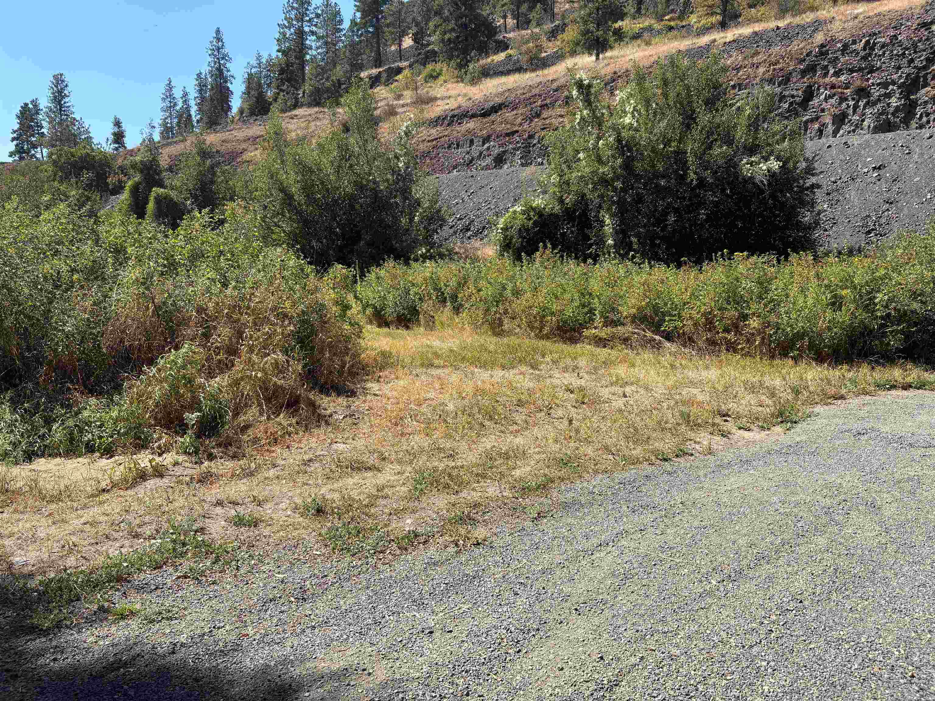 32900 N Hawk Creek Ranch Rd - Photo 12