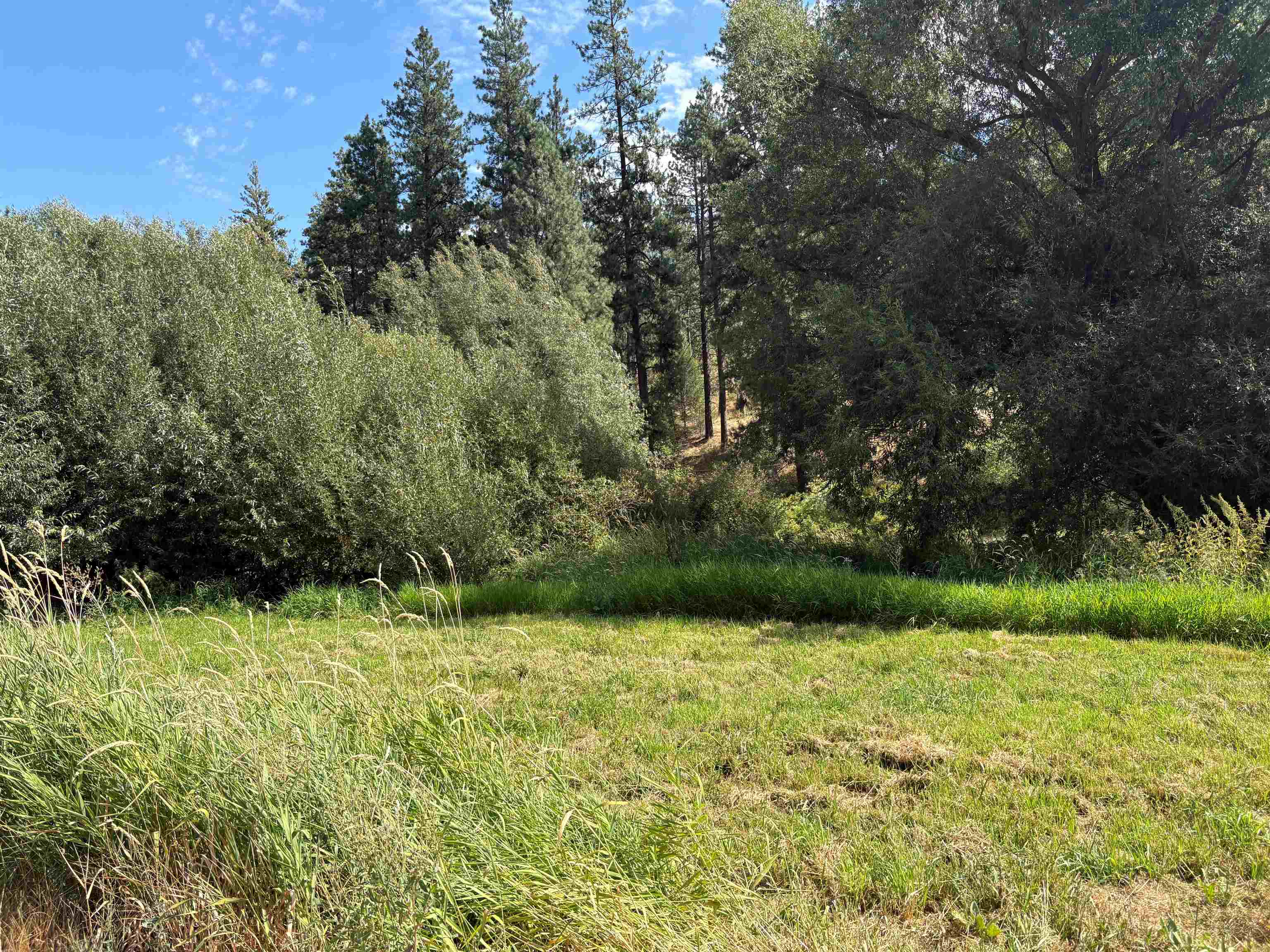 32900 N Hawk Creek Ranch Rd - Photo 13