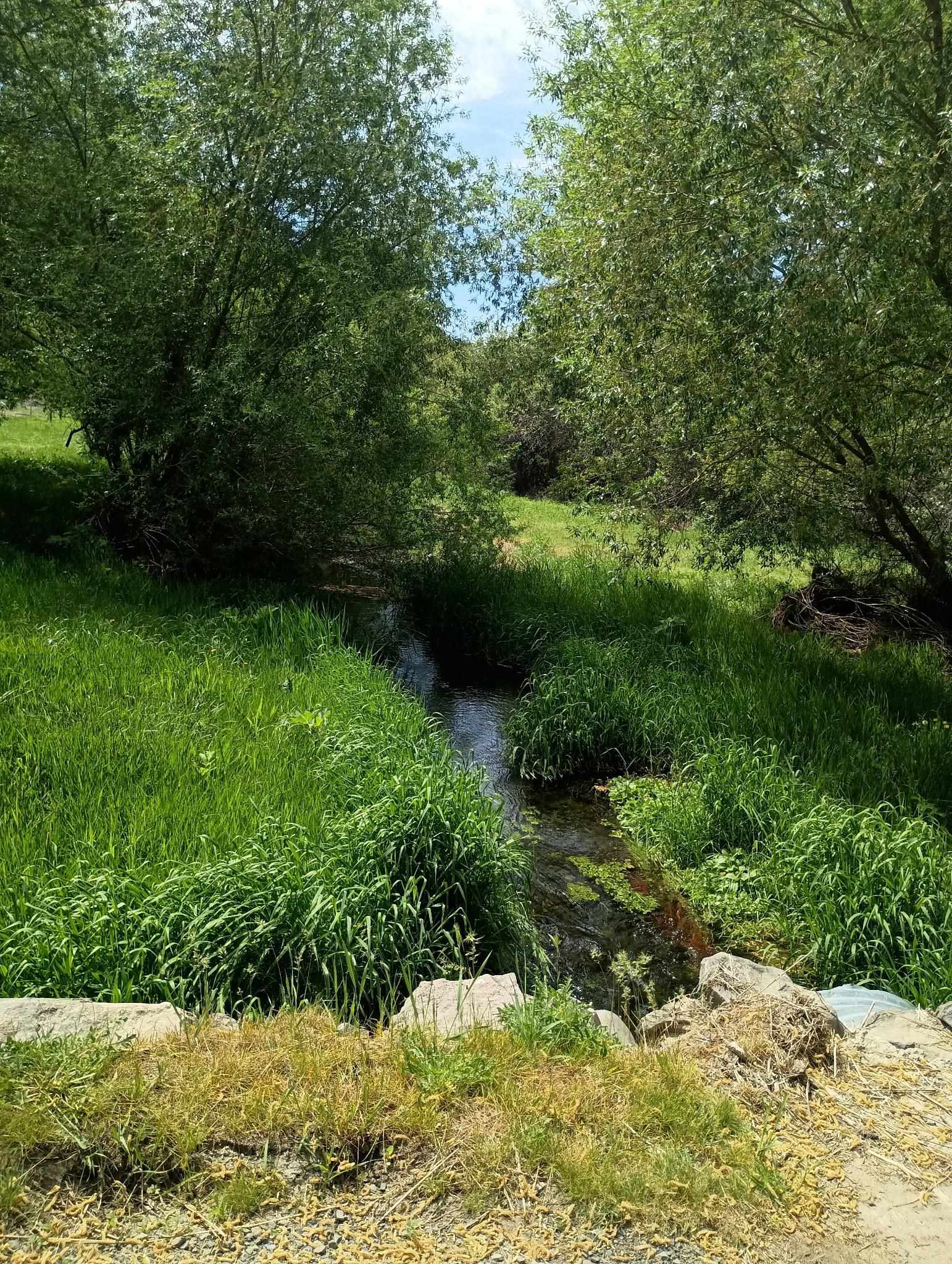 32900 N Hawk Creek Ranch Rd - Photo 15