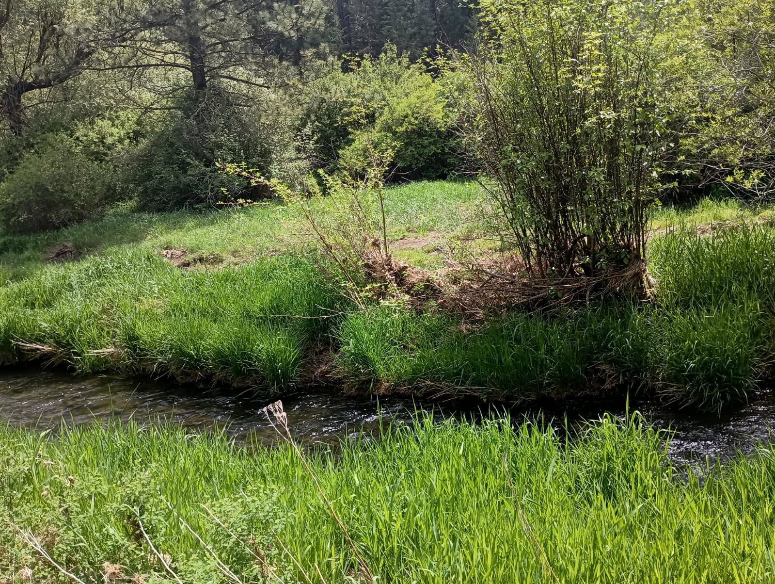 32900 N Hawk Creek Ranch Rd - Photo 16
