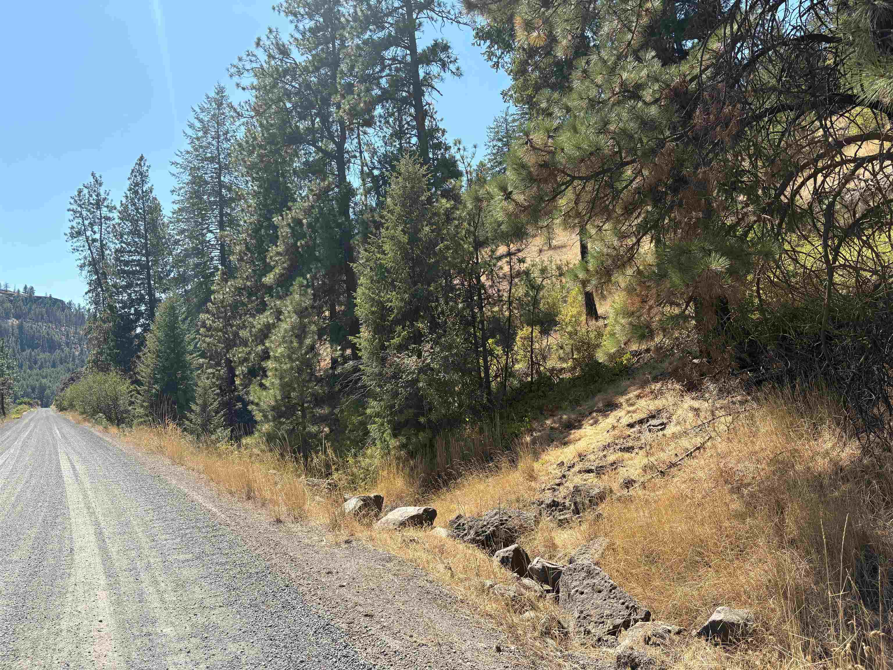 32900 N Hawk Creek Ranch Rd - Photo 18