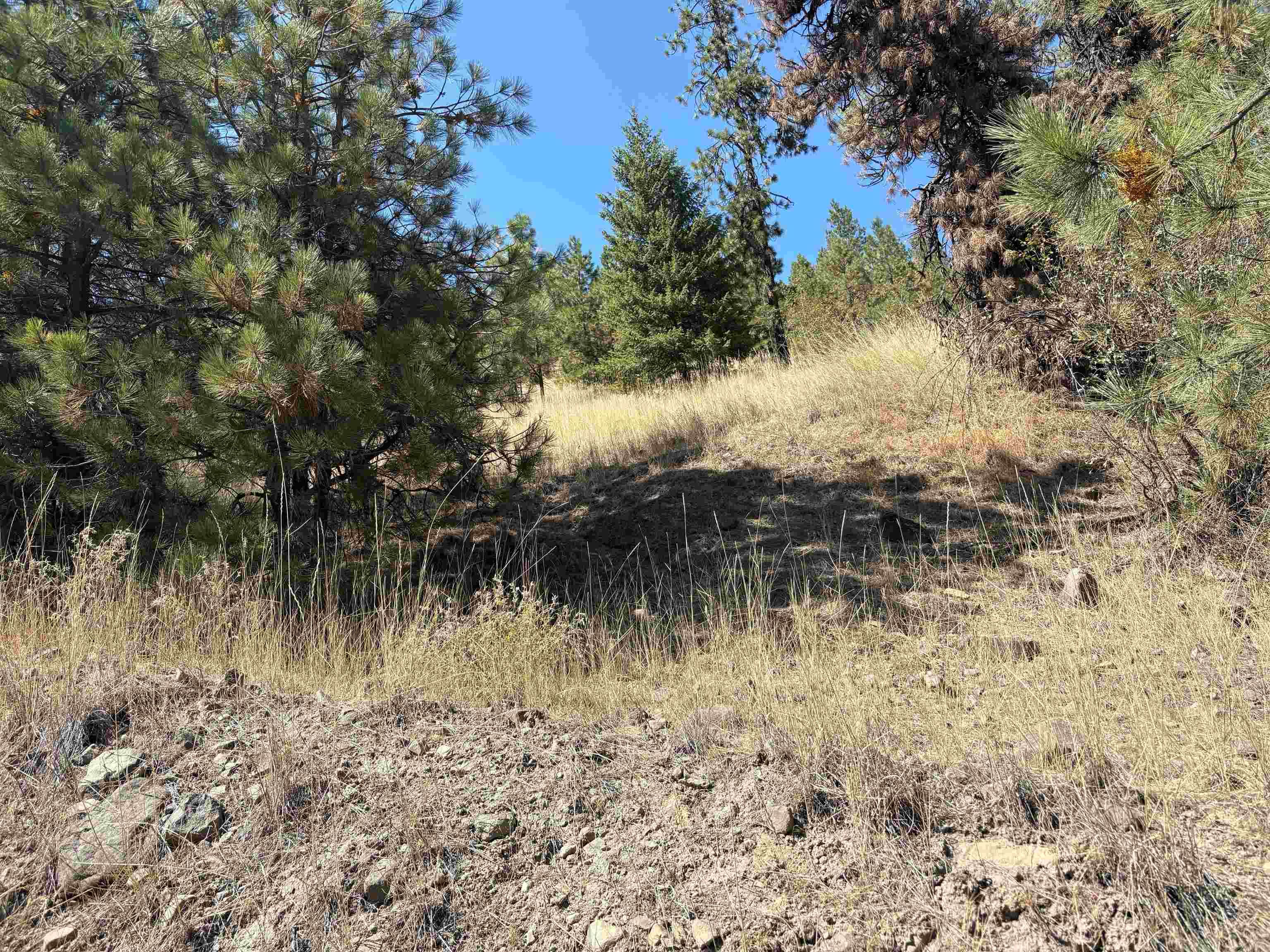 32900 N Hawk Creek Ranch Rd - Photo 19