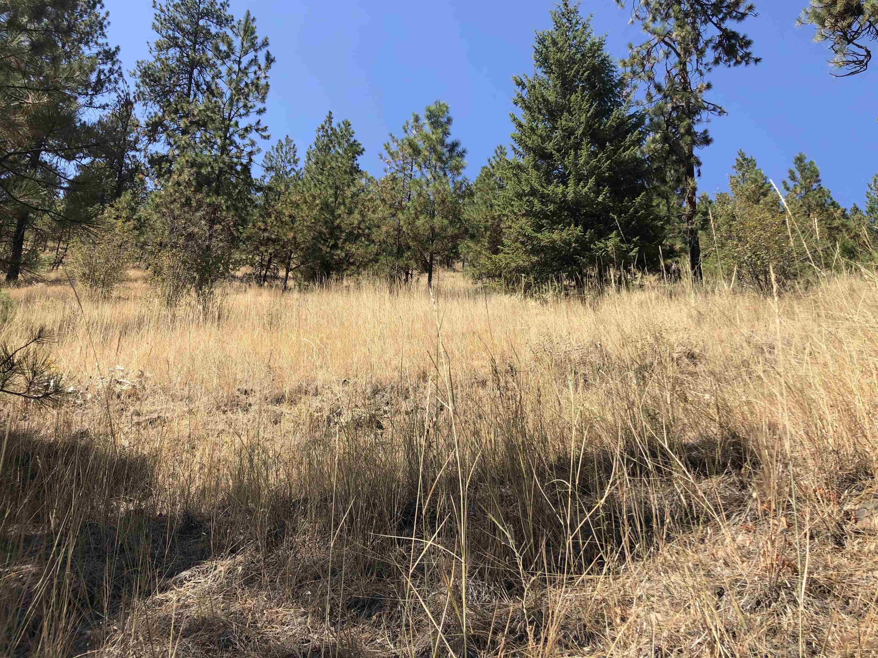 32900 N Hawk Creek Ranch Rd - Photo 20