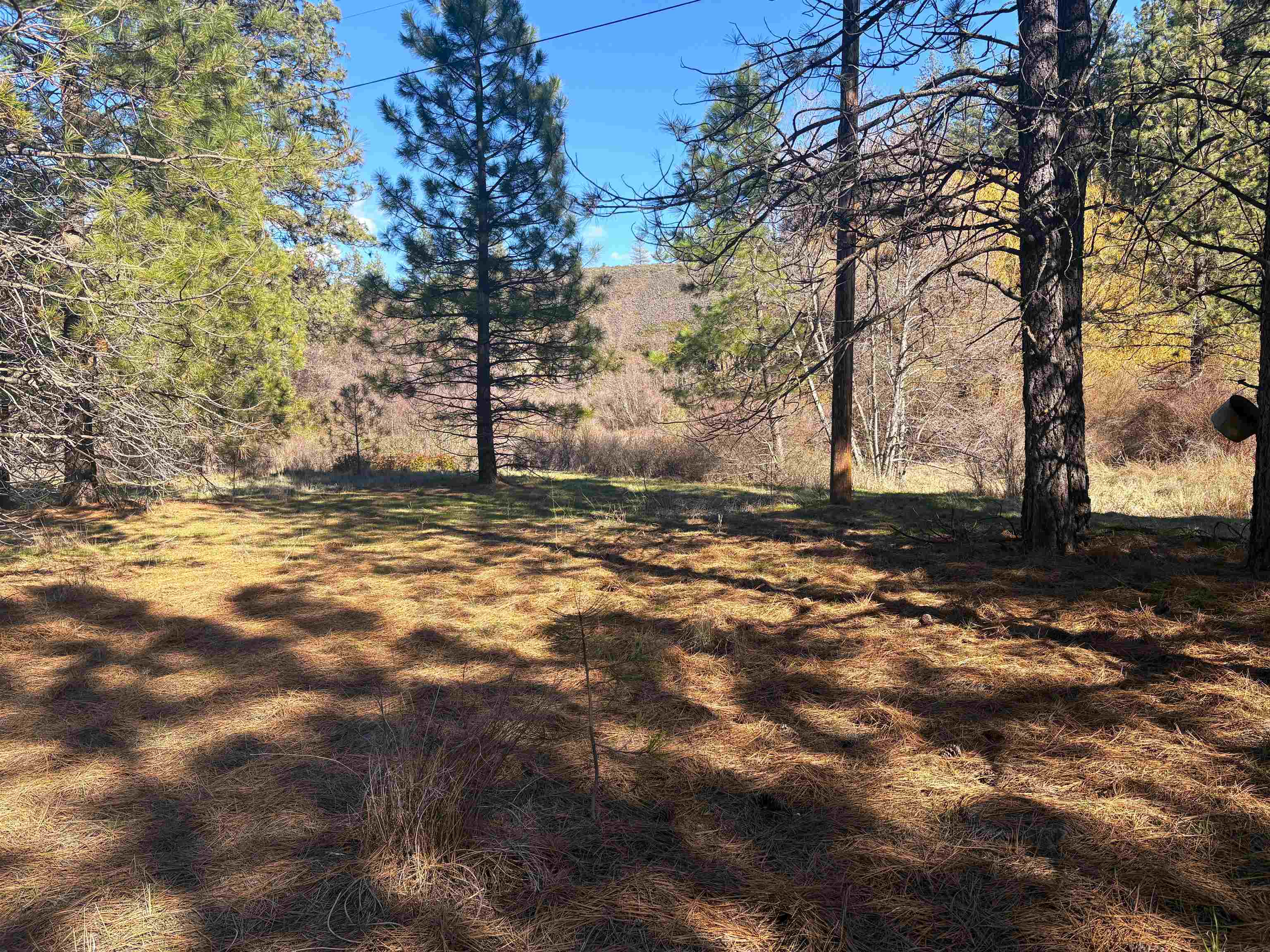 32900 N Hawk Creek Ranch Rd - Photo 3