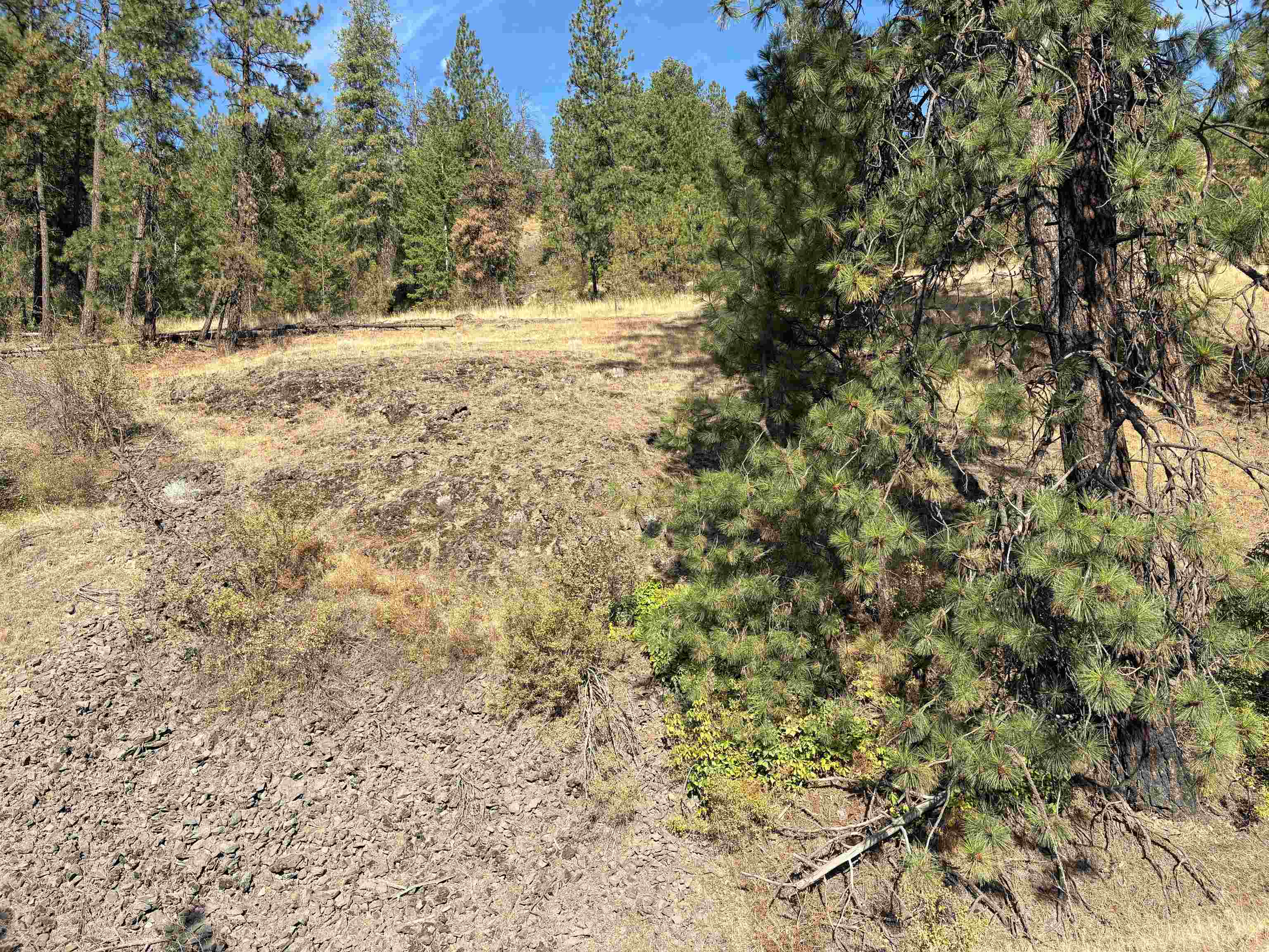 32900 N Hawk Creek Ranch Rd - Photo 21