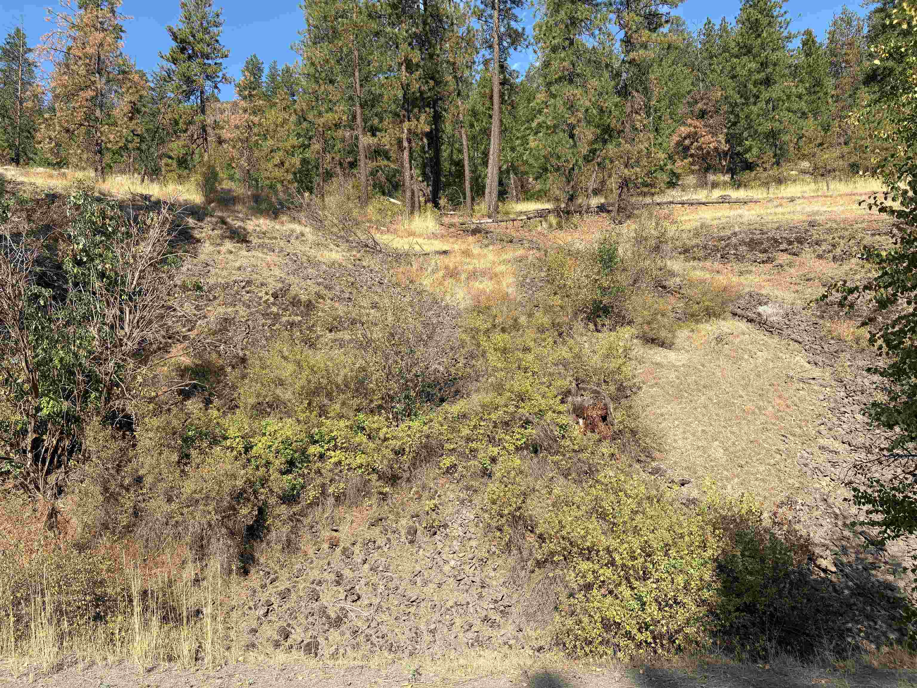 32900 N Hawk Creek Ranch Rd - Photo 22