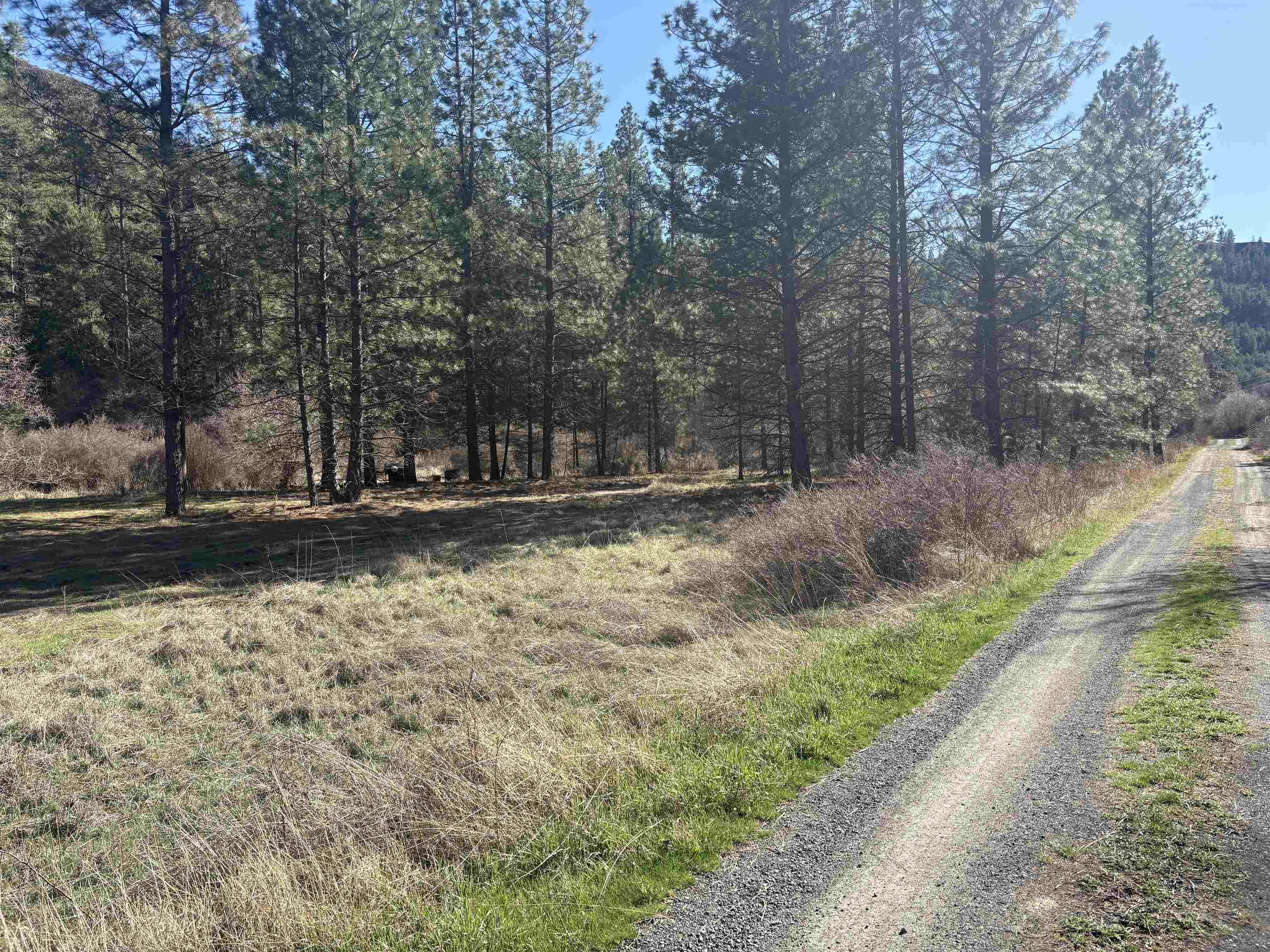 32900 N Hawk Creek Ranch Rd - Photo 4