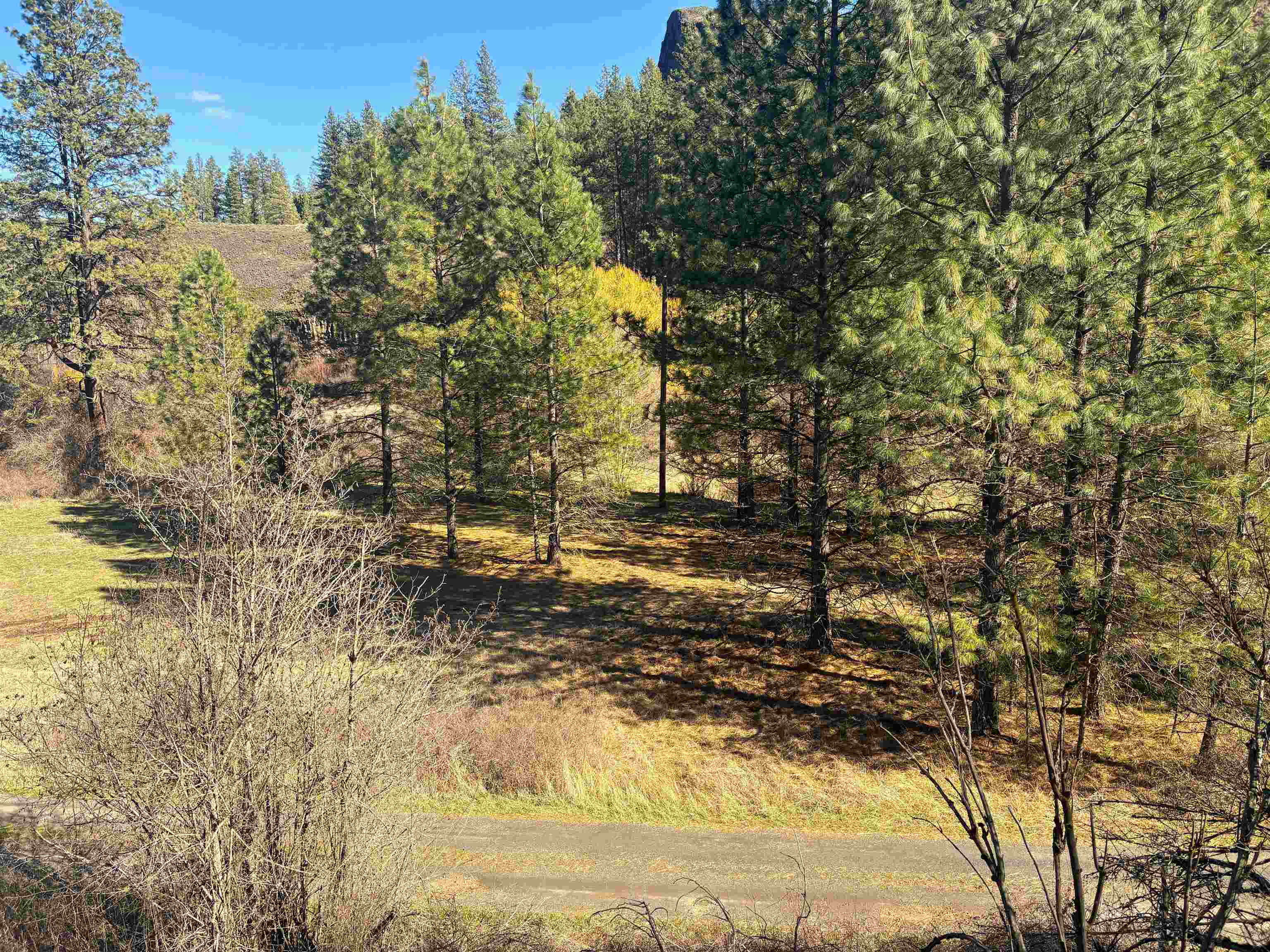 32900 N Hawk Creek Ranch Rd - Photo 5