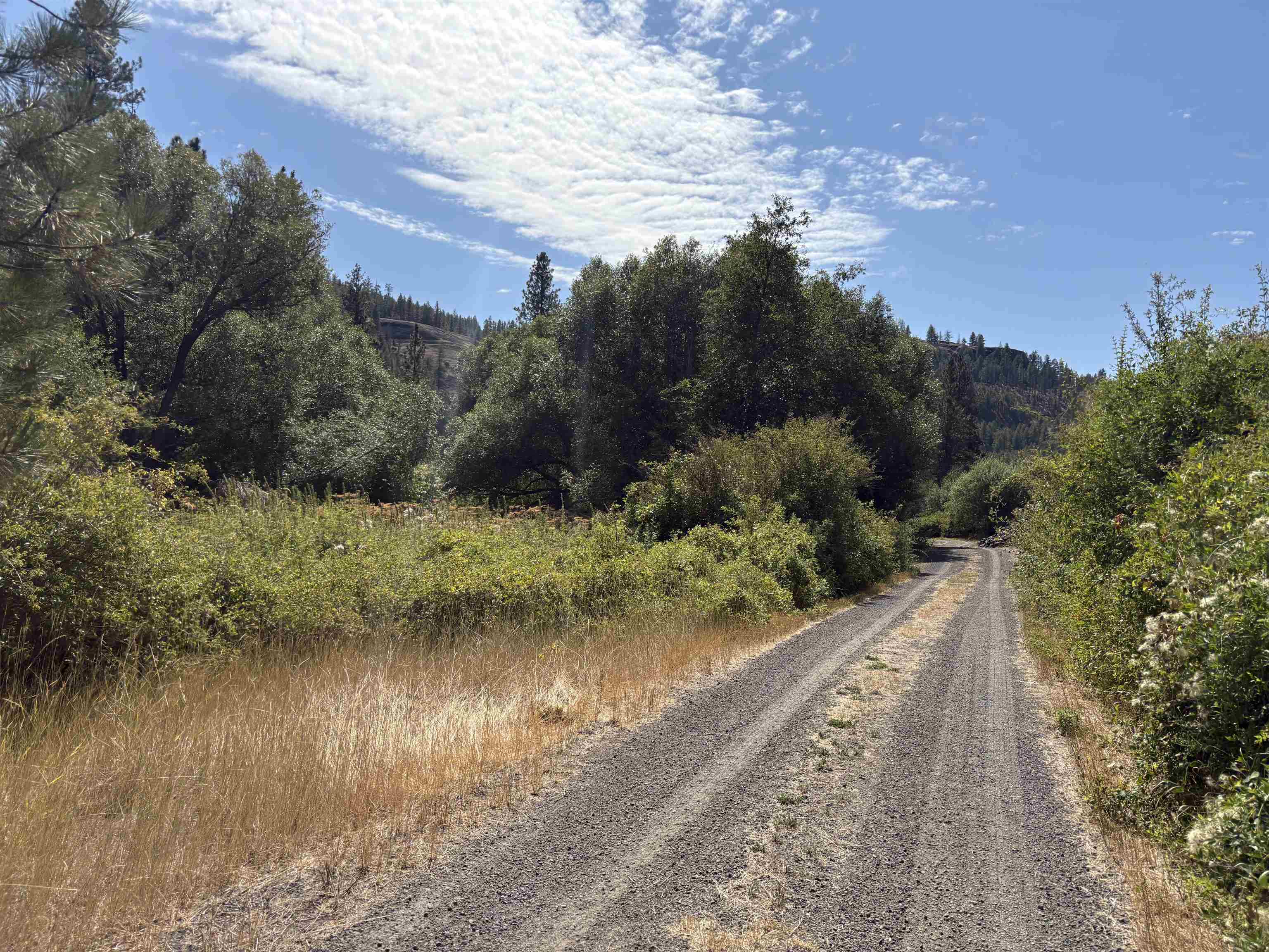 32900 N Hawk Creek Ranch Rd - Photo 6