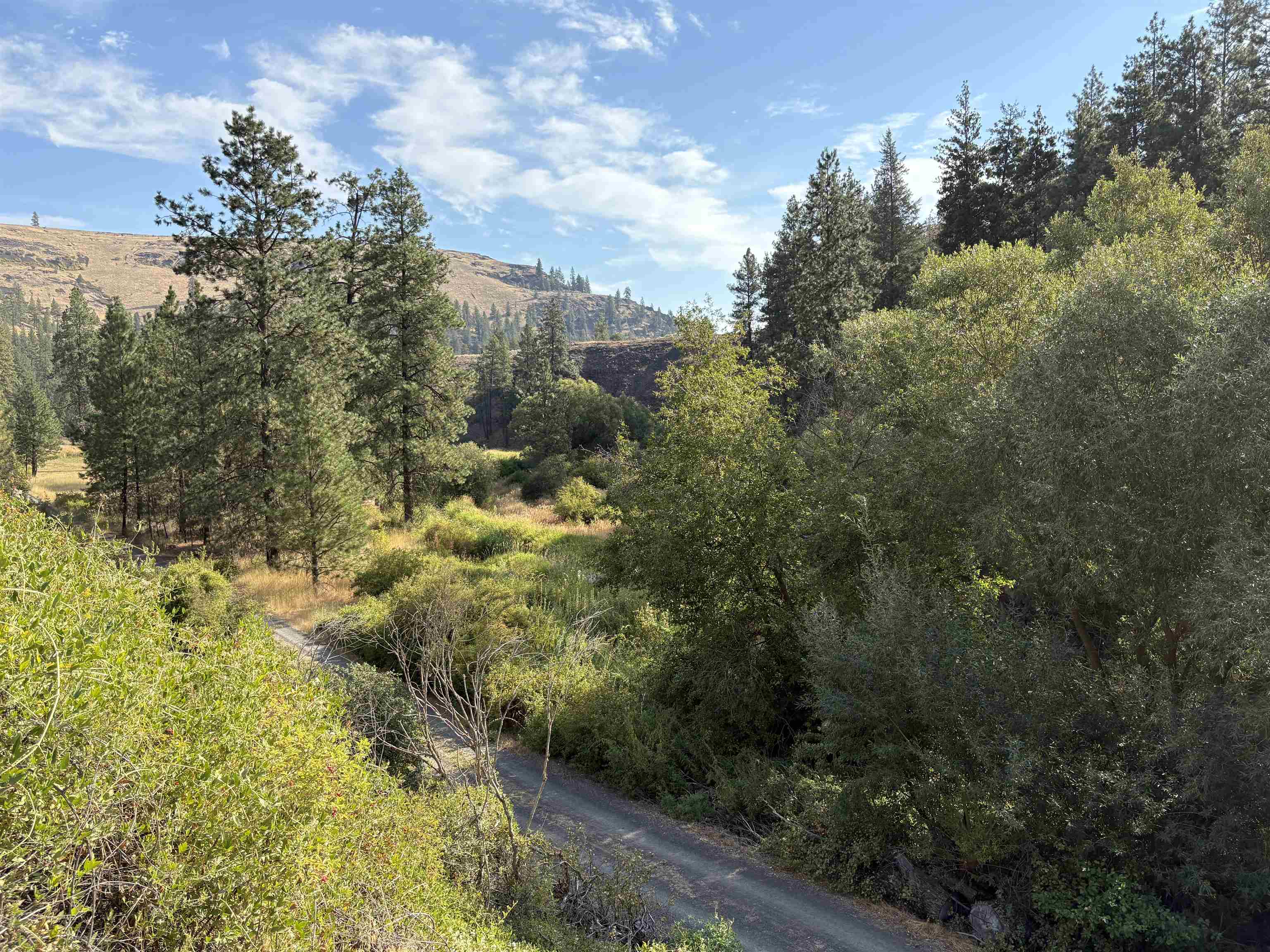 32900 N Hawk Creek Ranch Rd - Photo 7