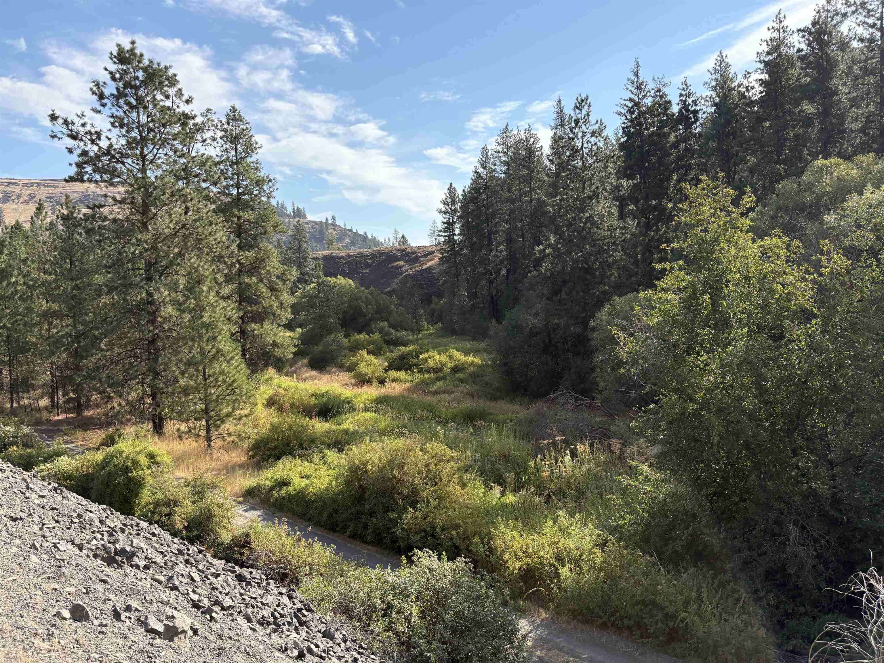 32900 N Hawk Creek Ranch Rd - Photo 8