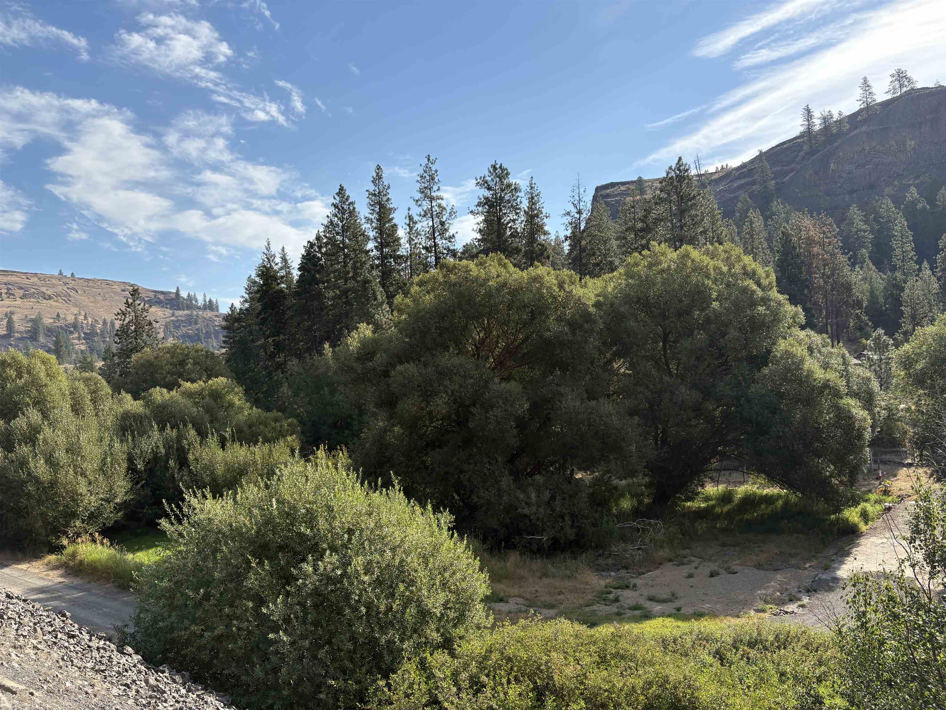 32900 N Hawk Creek Ranch Rd - Photo 9