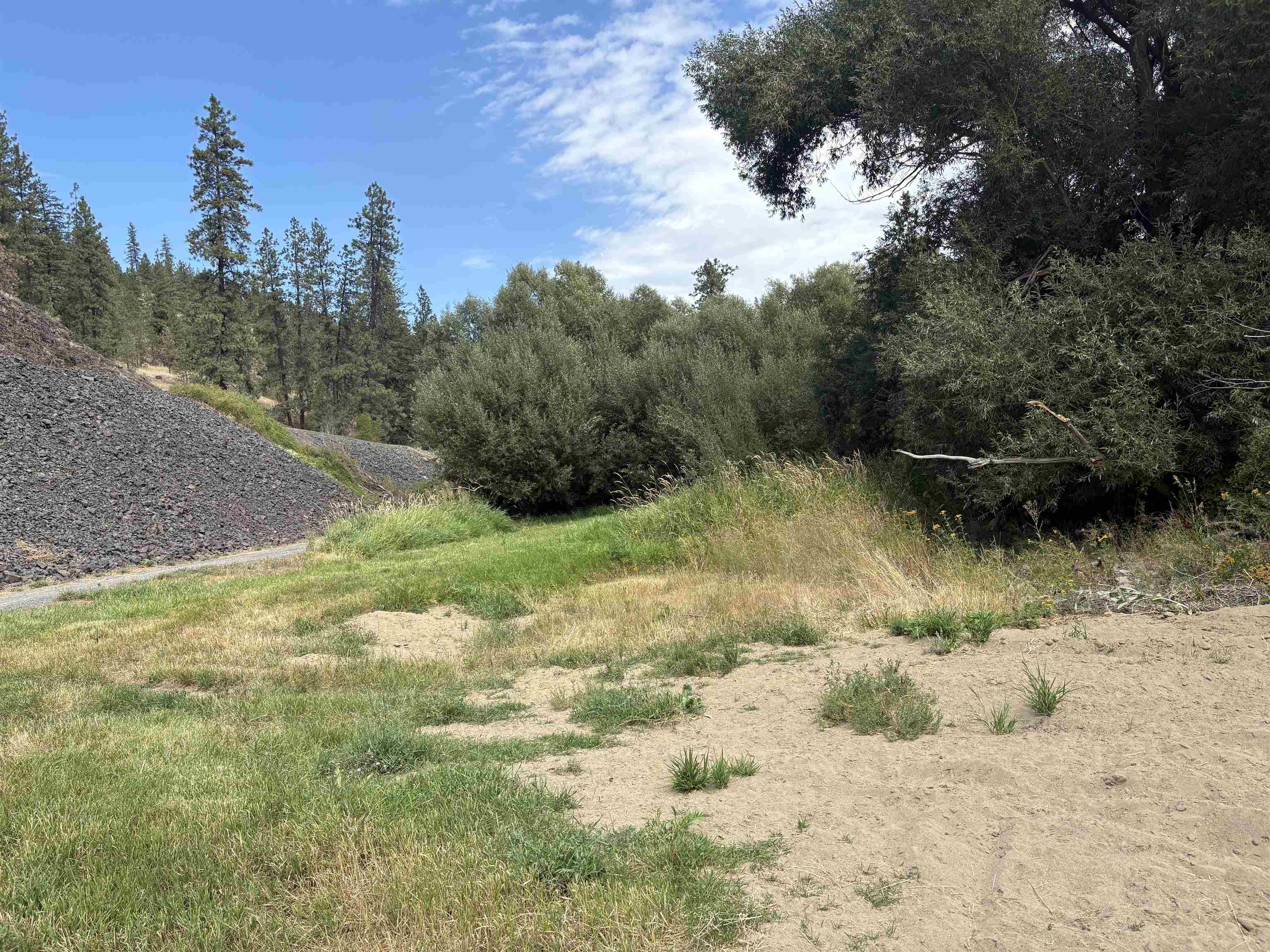 32900 N Hawk Creek Ranch Rd - Photo 10