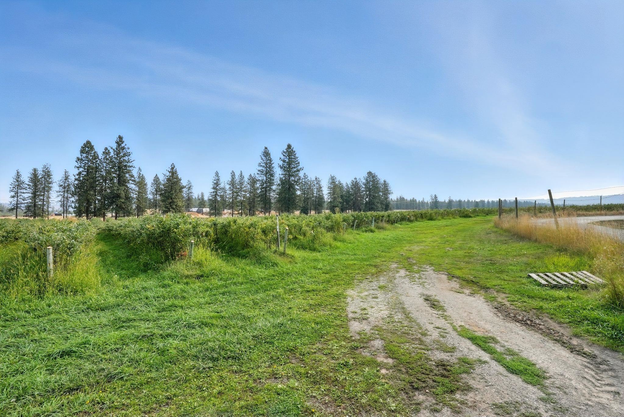 38278 Angels Landing Rd N - Photo 7