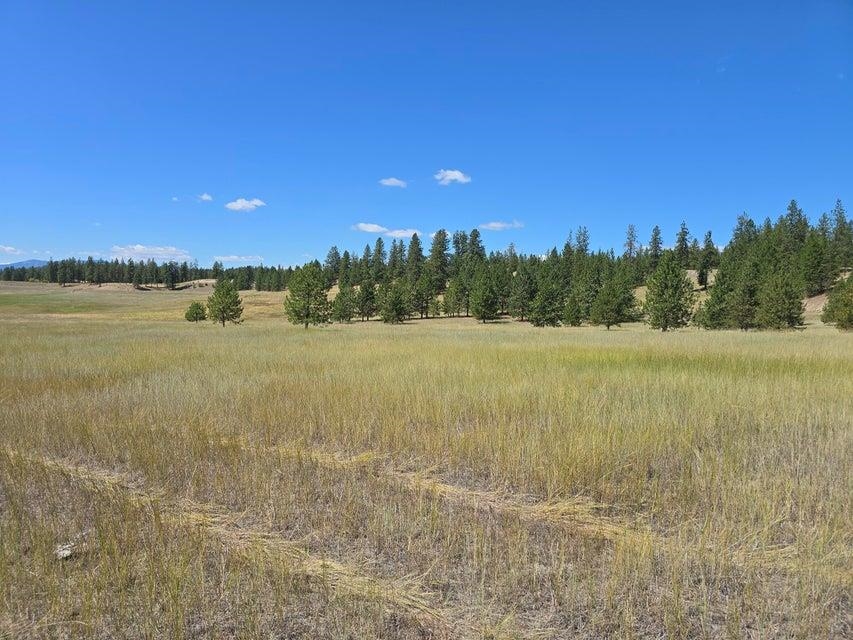 13XX Kitt Narcisse Rd - Photo 11