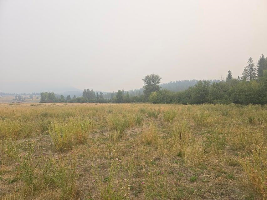 13XX Kitt Narcisse Rd - Photo 8
