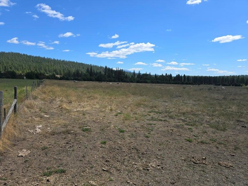 13XX Kitt Narcisse Rd - Photo 10
