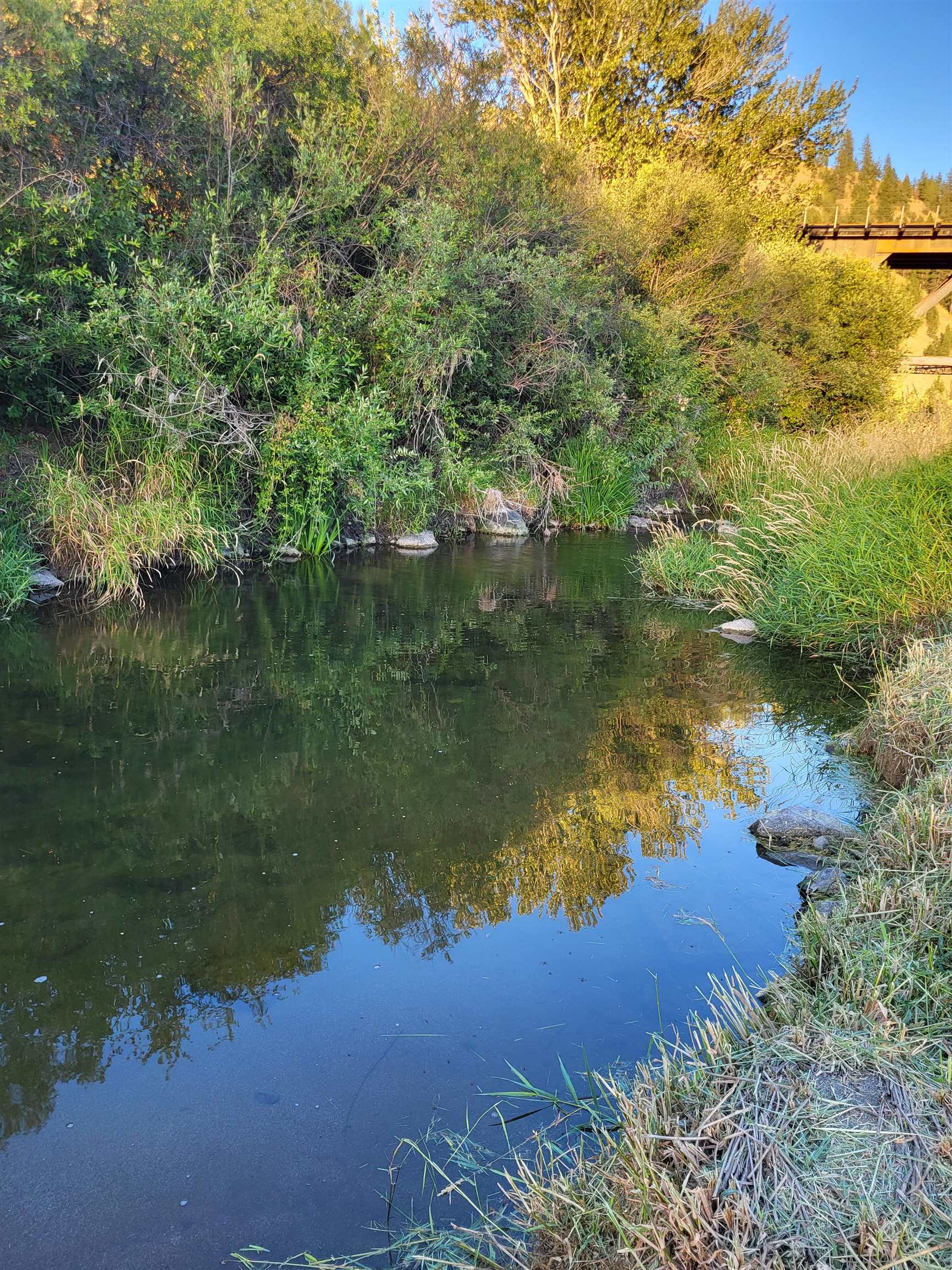3331 S Inland Empire Way - Photo 8