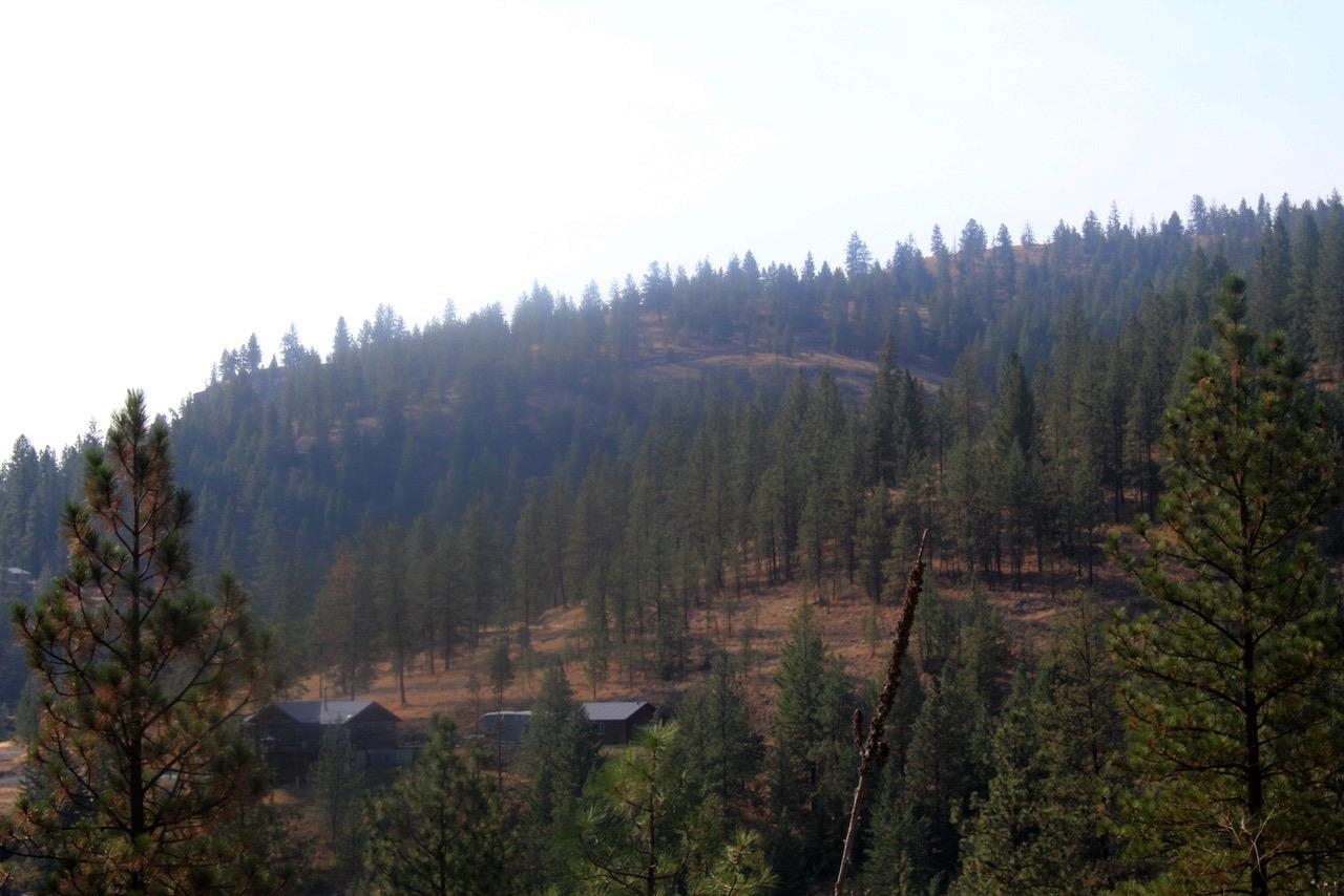 35770 Spruce Grouse N Ln - Photo 11