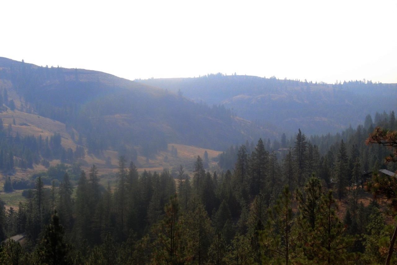 35770 Spruce Grouse N Ln - Photo 13