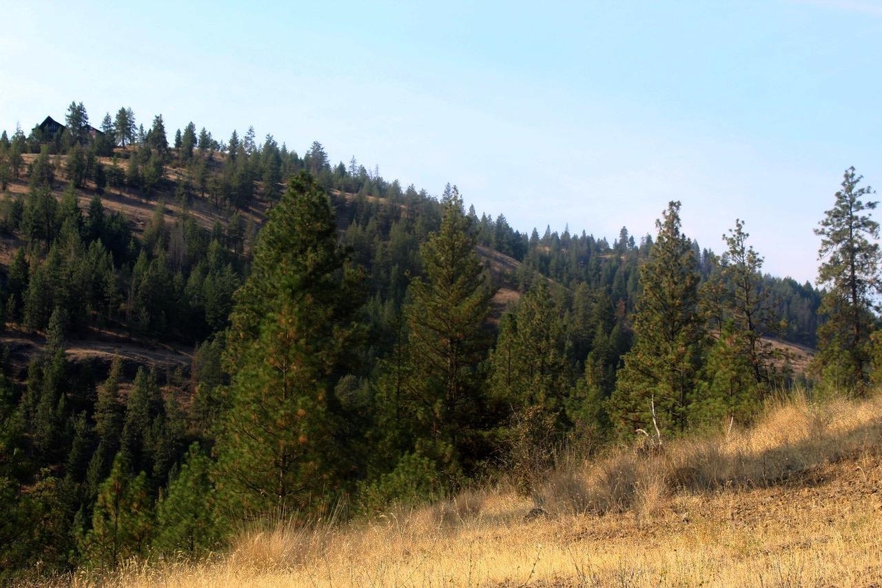 35770 Spruce Grouse N Ln - Photo 14