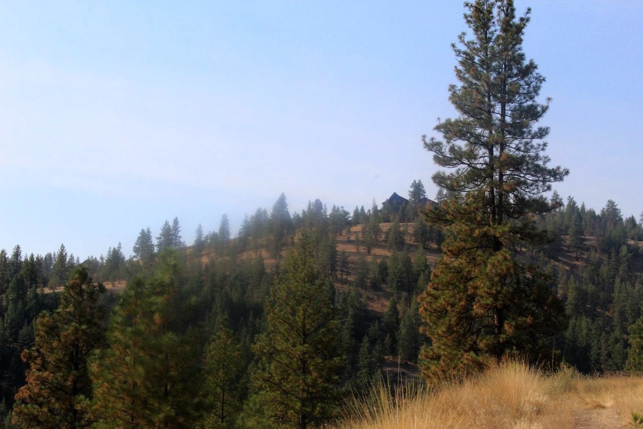35770 Spruce Grouse N Ln - Photo 15