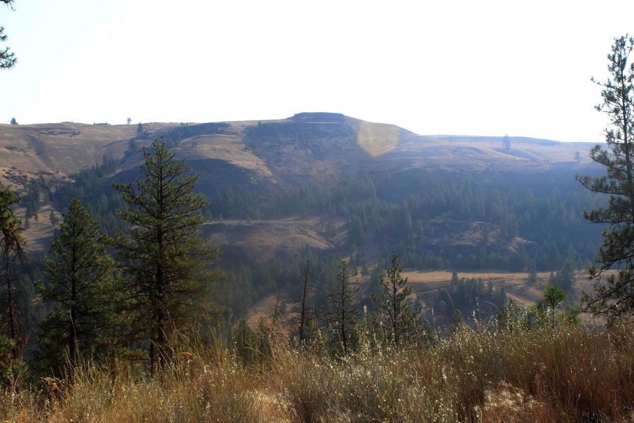 35770 Spruce Grouse N Ln - Photo 3