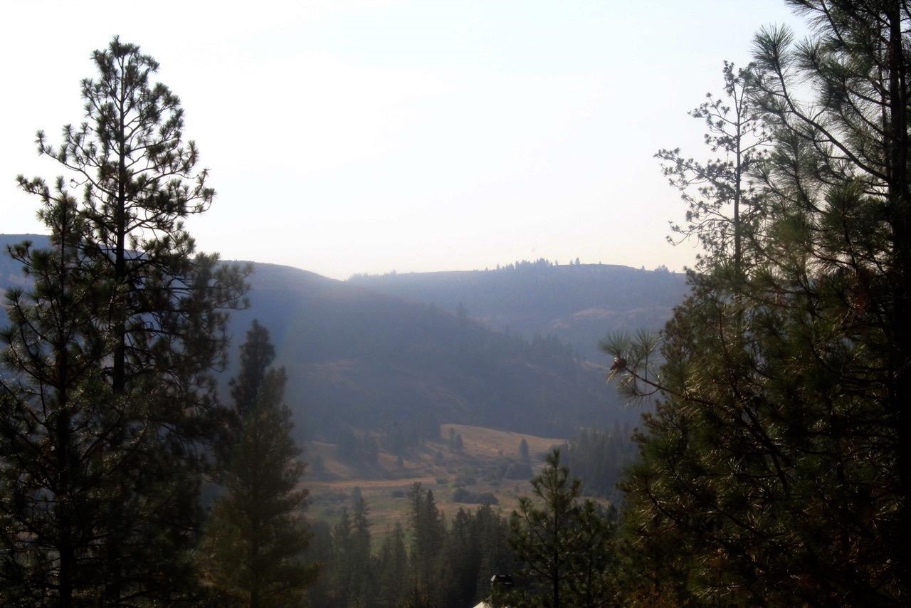 35770 Spruce Grouse N Ln - Photo 4