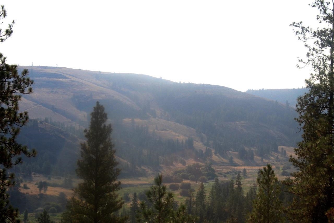 35770 Spruce Grouse N Ln - Photo 5