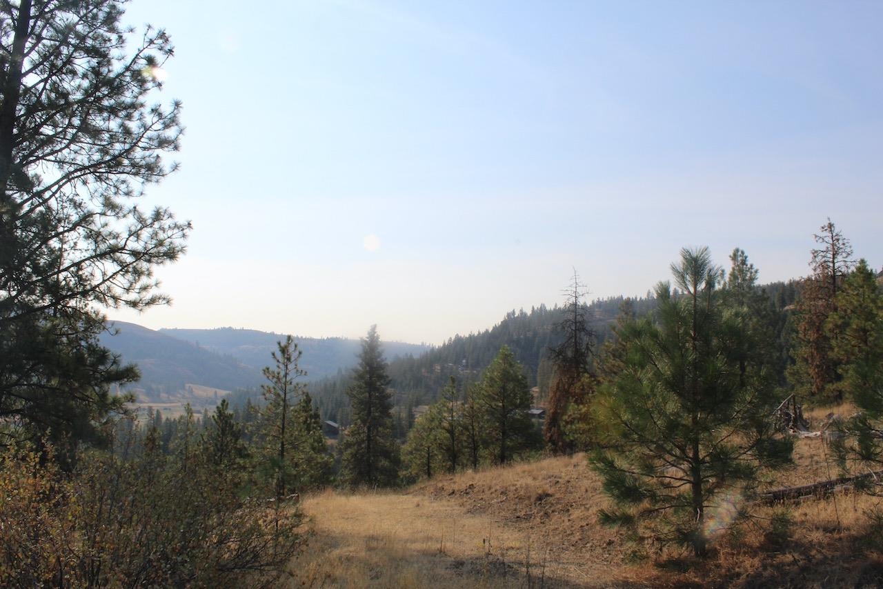 35770 Spruce Grouse N Ln - Photo 6