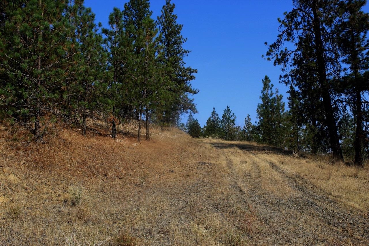 35770 Spruce Grouse N Ln - Photo 8