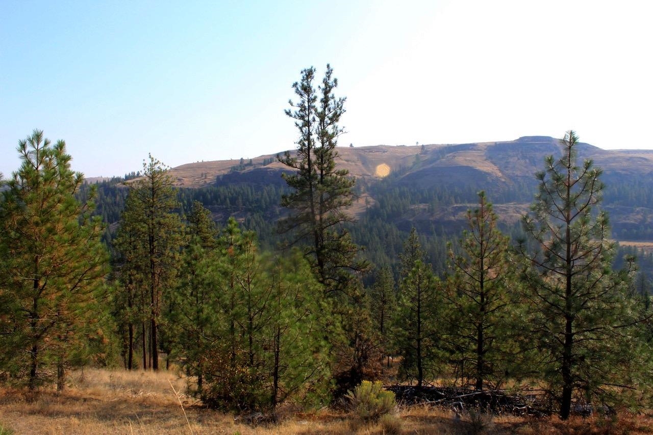 35770 Spruce Grouse N Ln - Photo 10